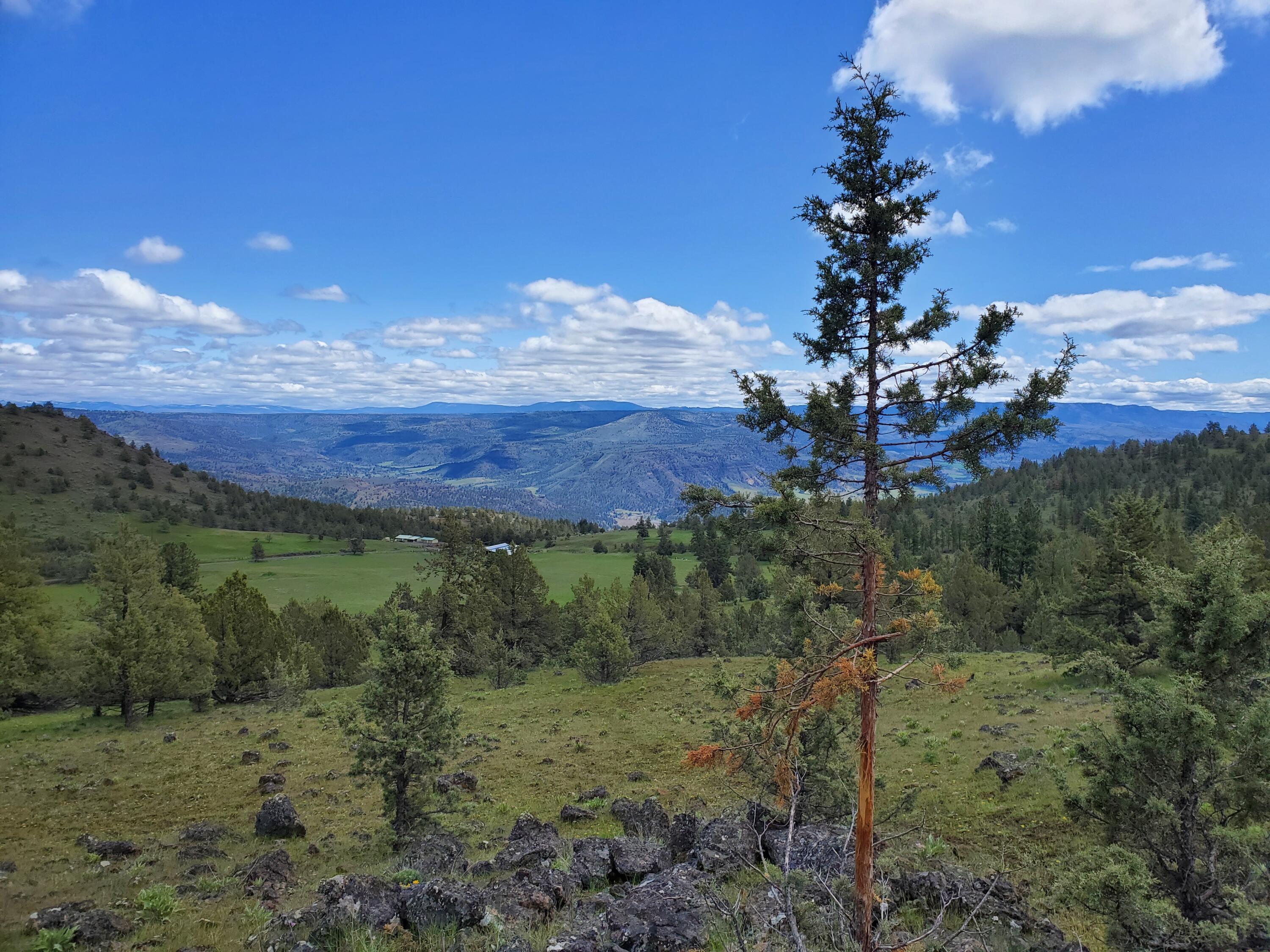 Mountain View Subdivision - Farm