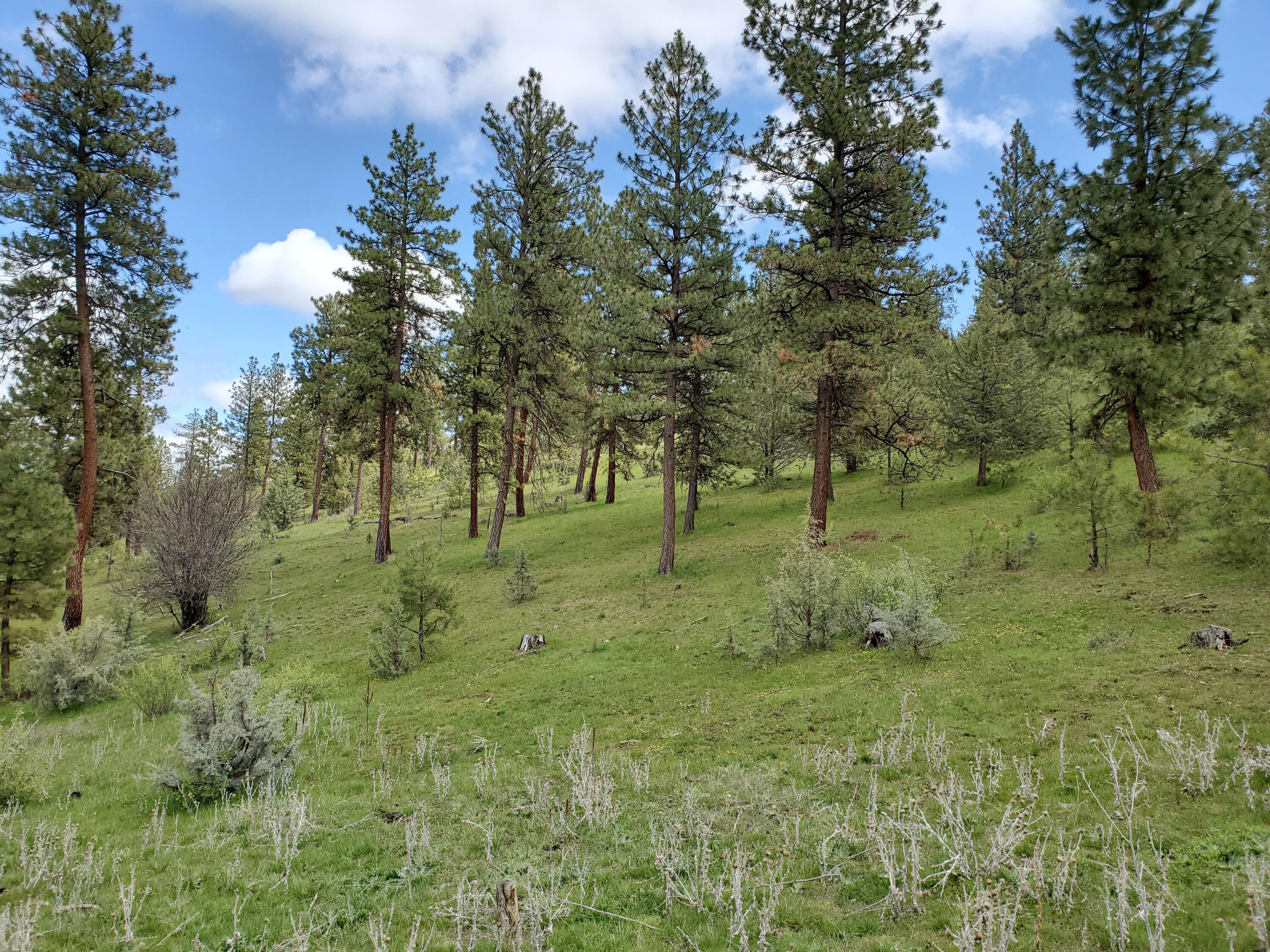 Mountain View Subdivision - Farm