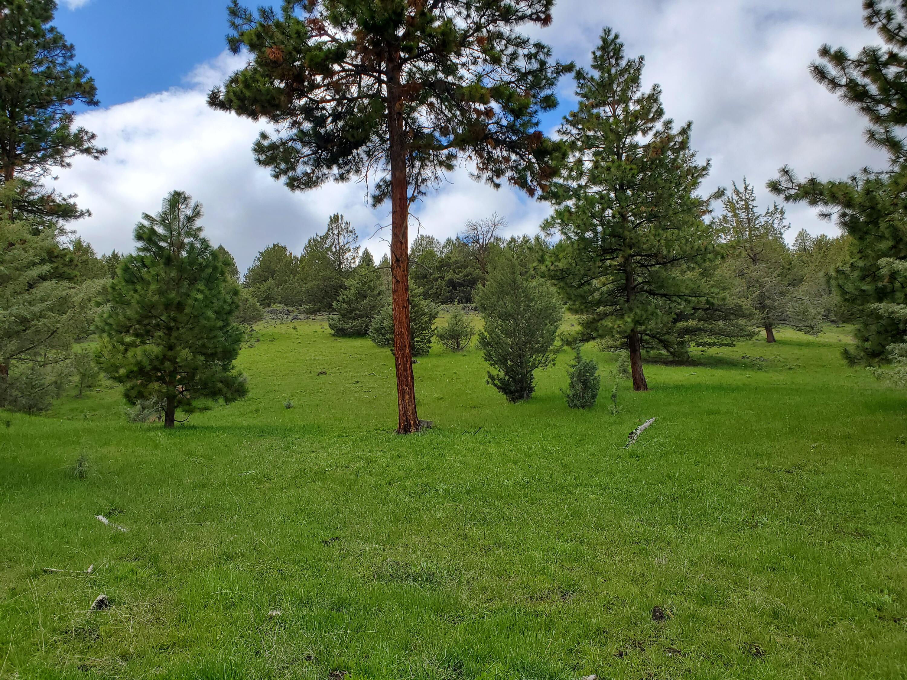 Mountain View Subdivision - Farm