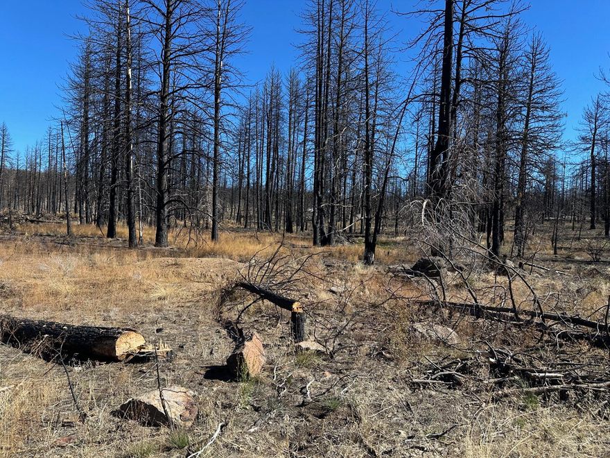 Even though the recent fire burned all of the trees on this nice lot, it still has a lot to offer. It is located very close to HWY 140, there are quite a few nice rock formations, and the night skies are open with no city streetlights.  Here is a chance to turn this lot into your dream property. Easy to find.