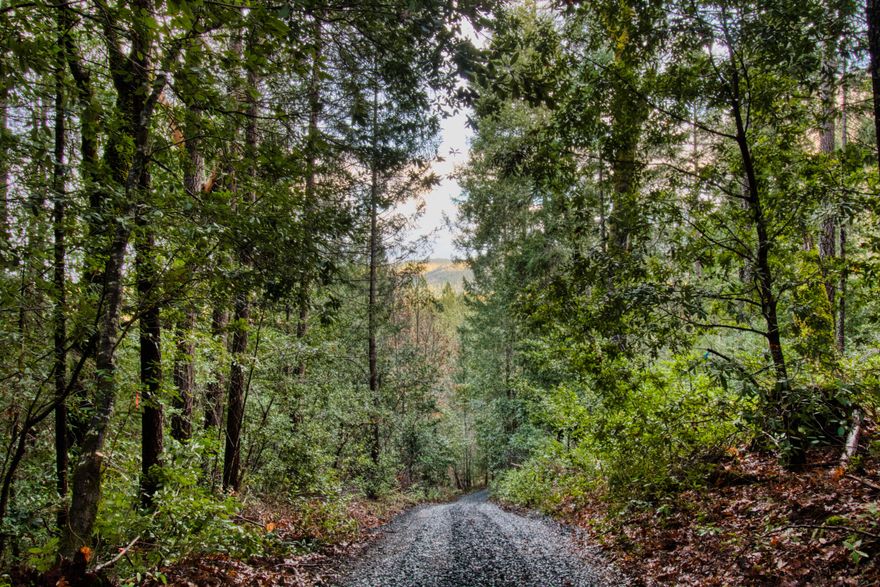 Embrace the vastness of this wooded 38.03 acres. Property is secluded and has a well. Whether you envision a secluded dream home, a sustainable living retreat, or a nature-inspired development project, this property provides the canvas for your aspirations.