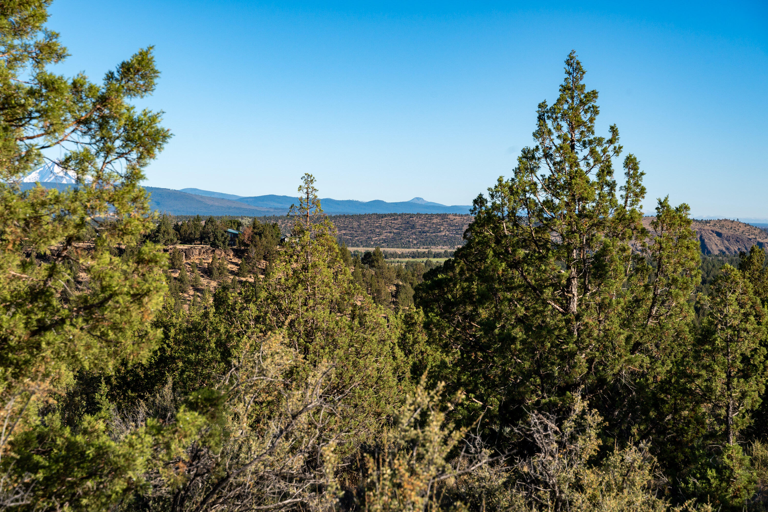 Lower Bridge Estate - Land