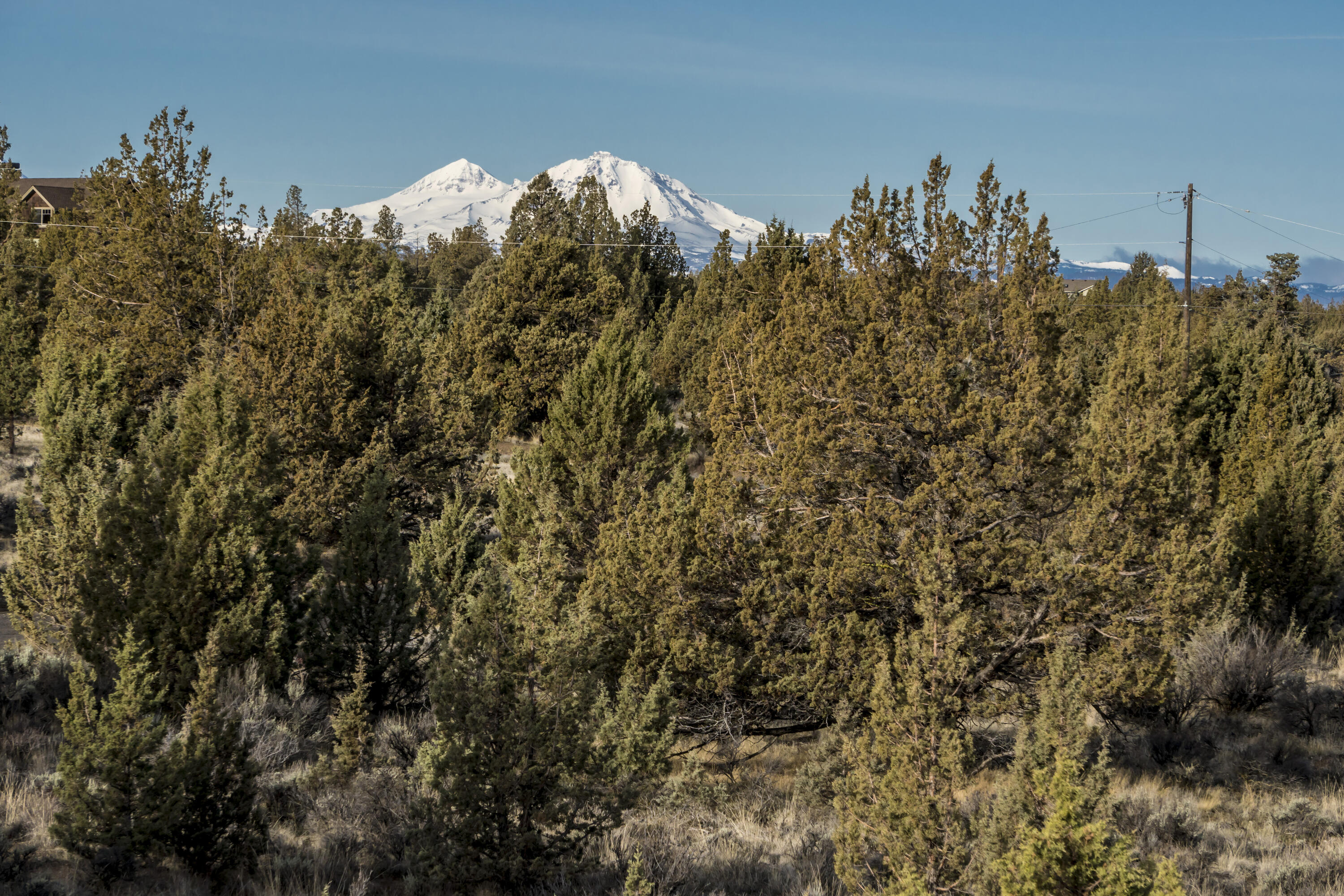 Lower Bridge Estate - Land