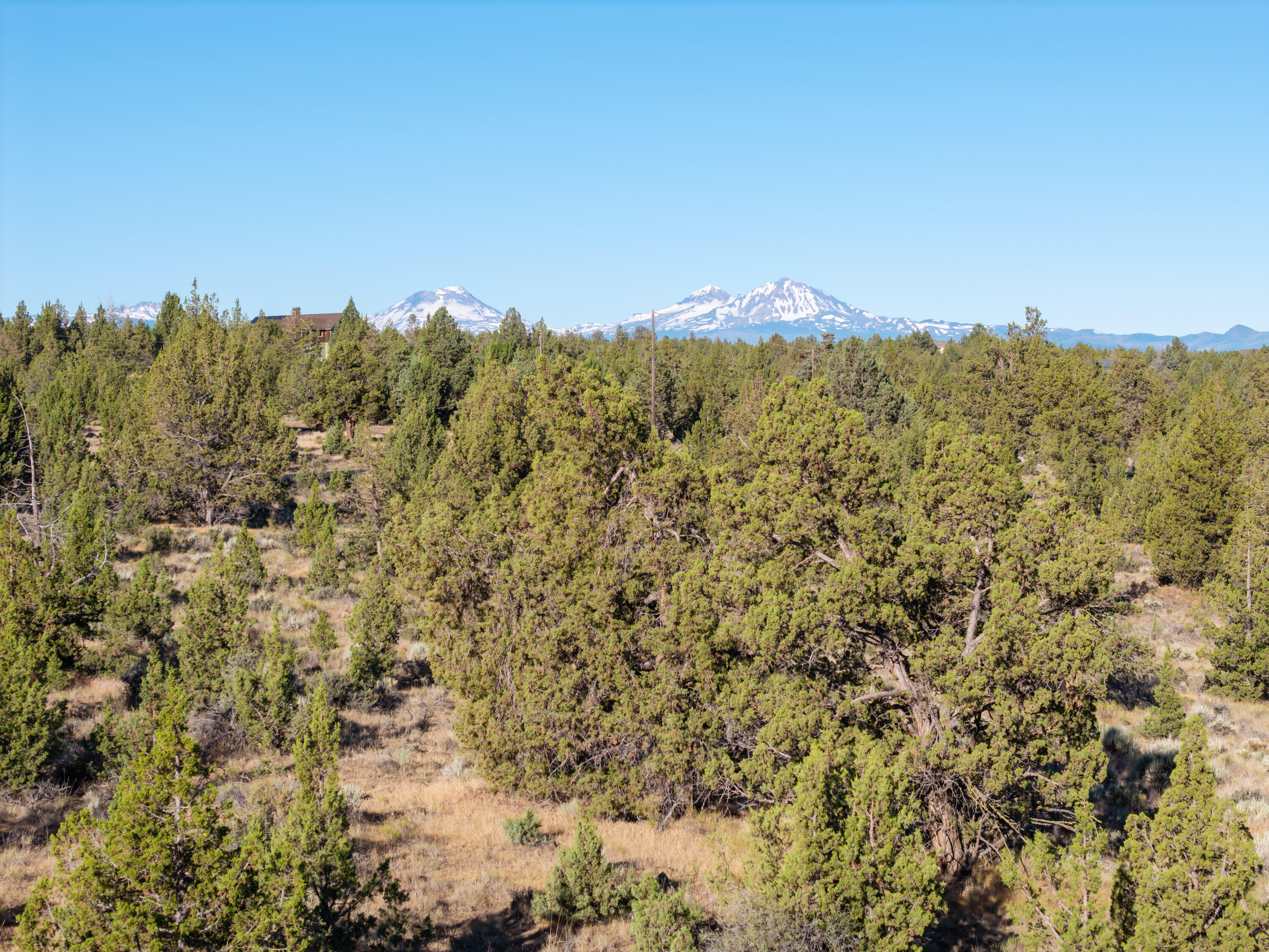 Lower Bridge Estate - Land