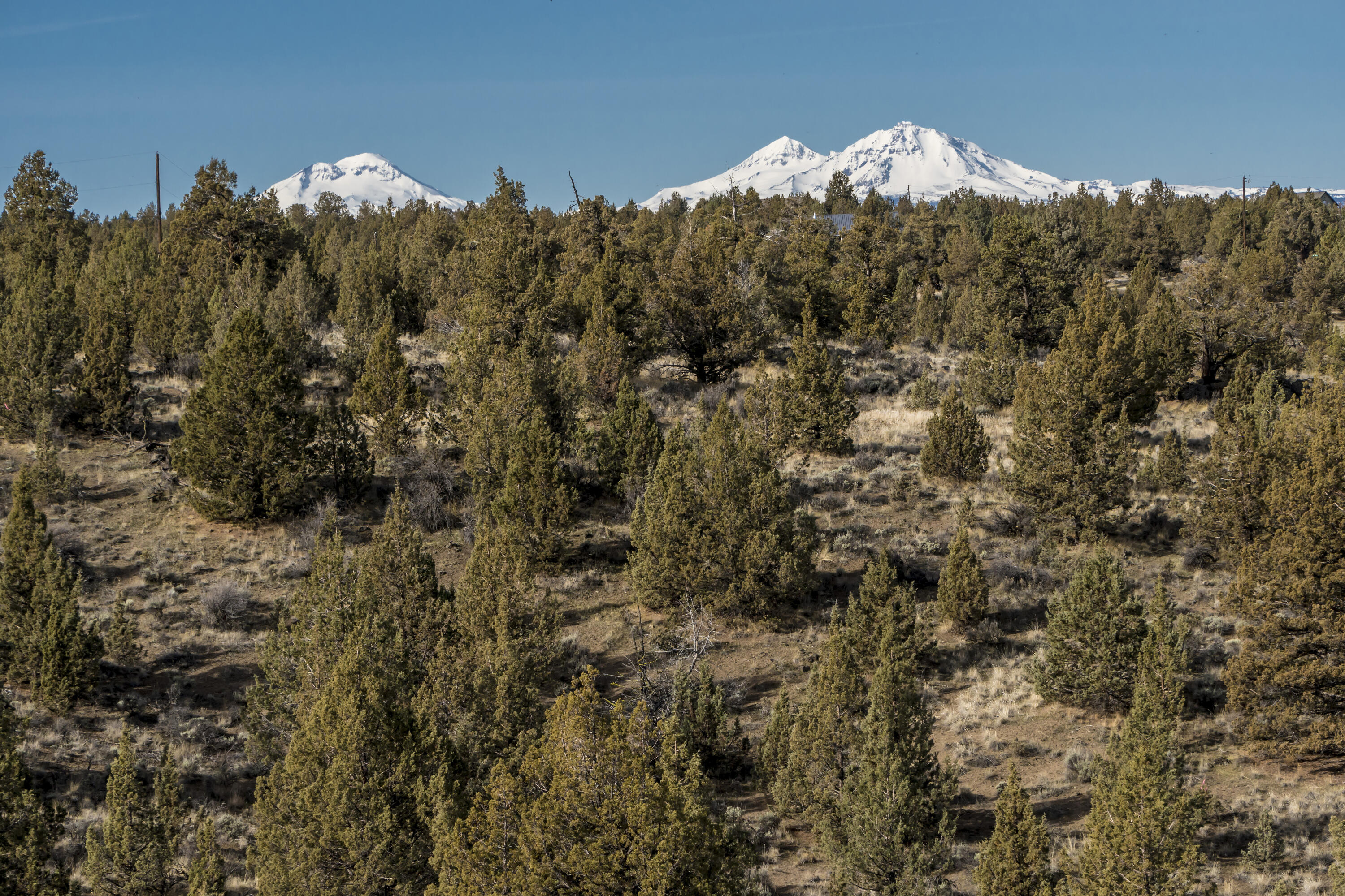 Lower Bridge Estate - Land