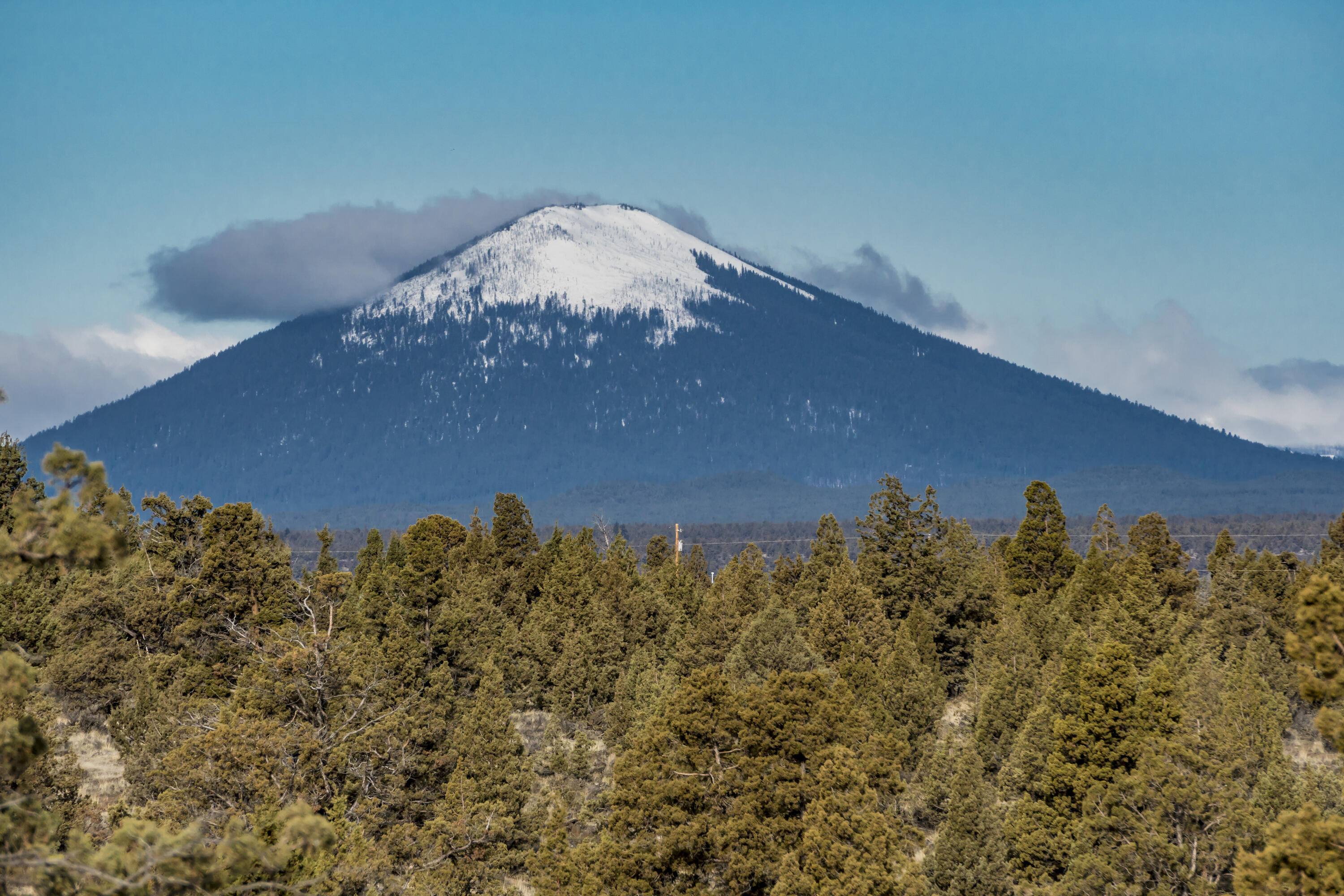 Lower Bridge Estate - Land