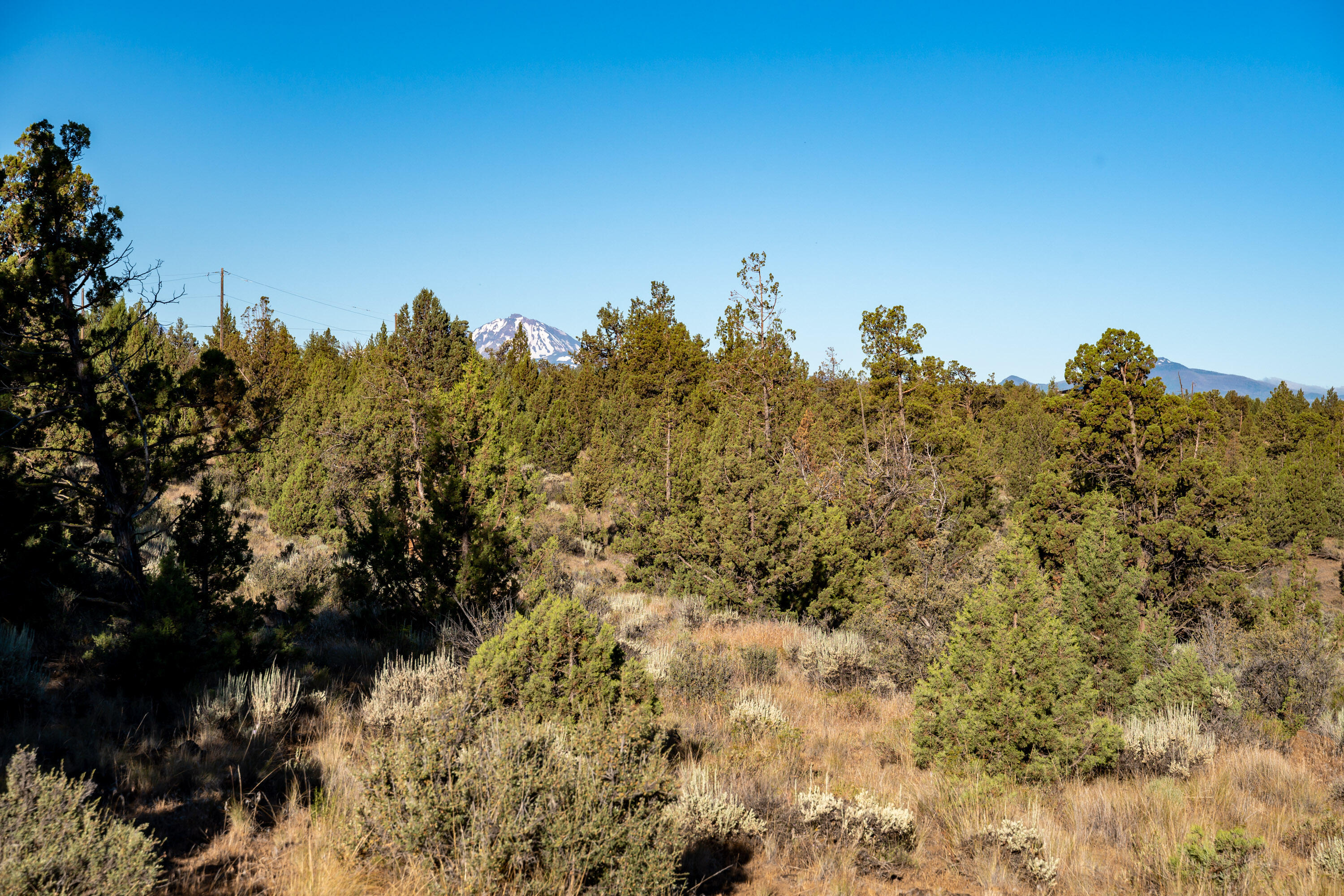 Lower Bridge Estate - Land