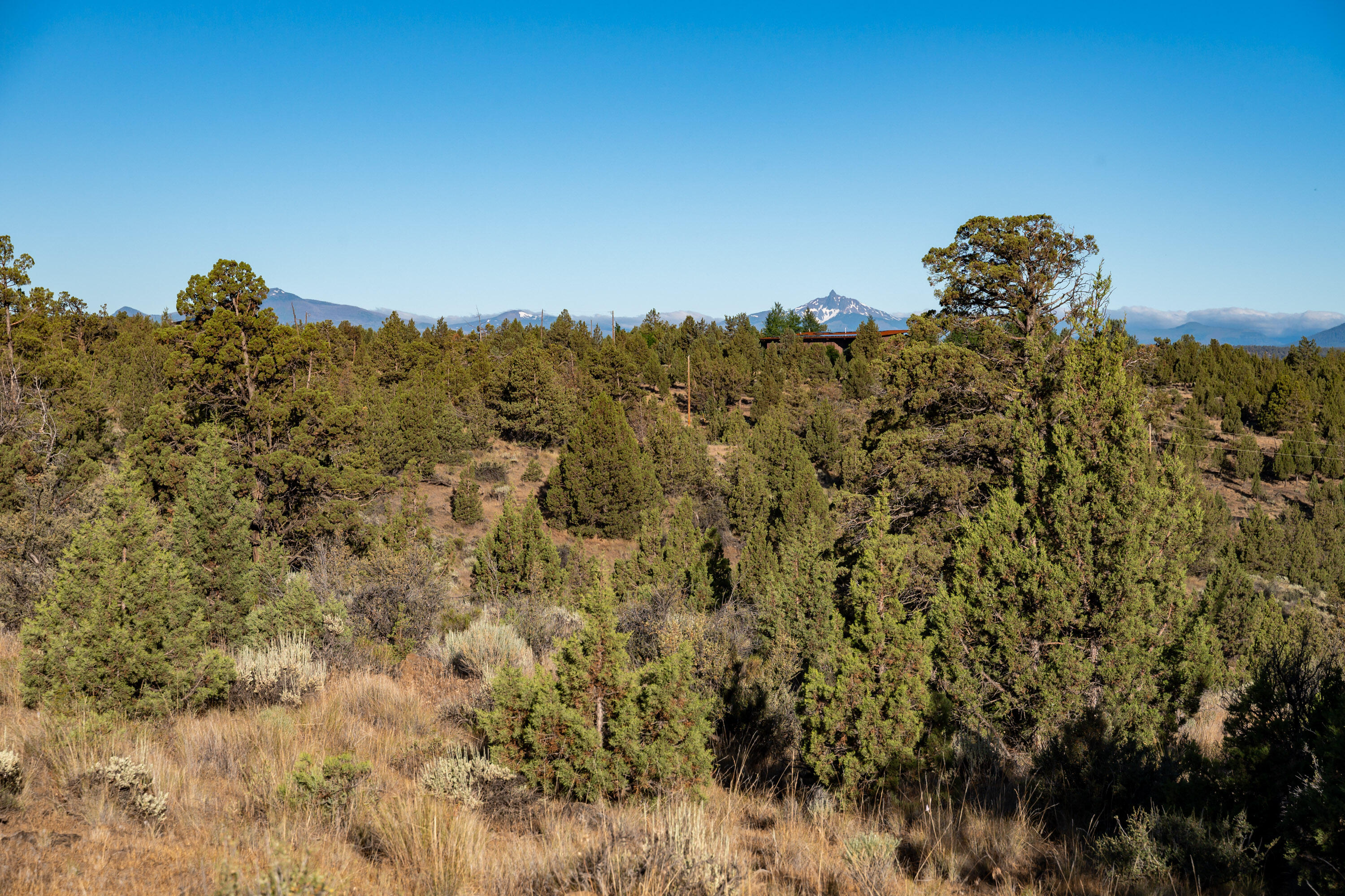 Lower Bridge Estate - Land