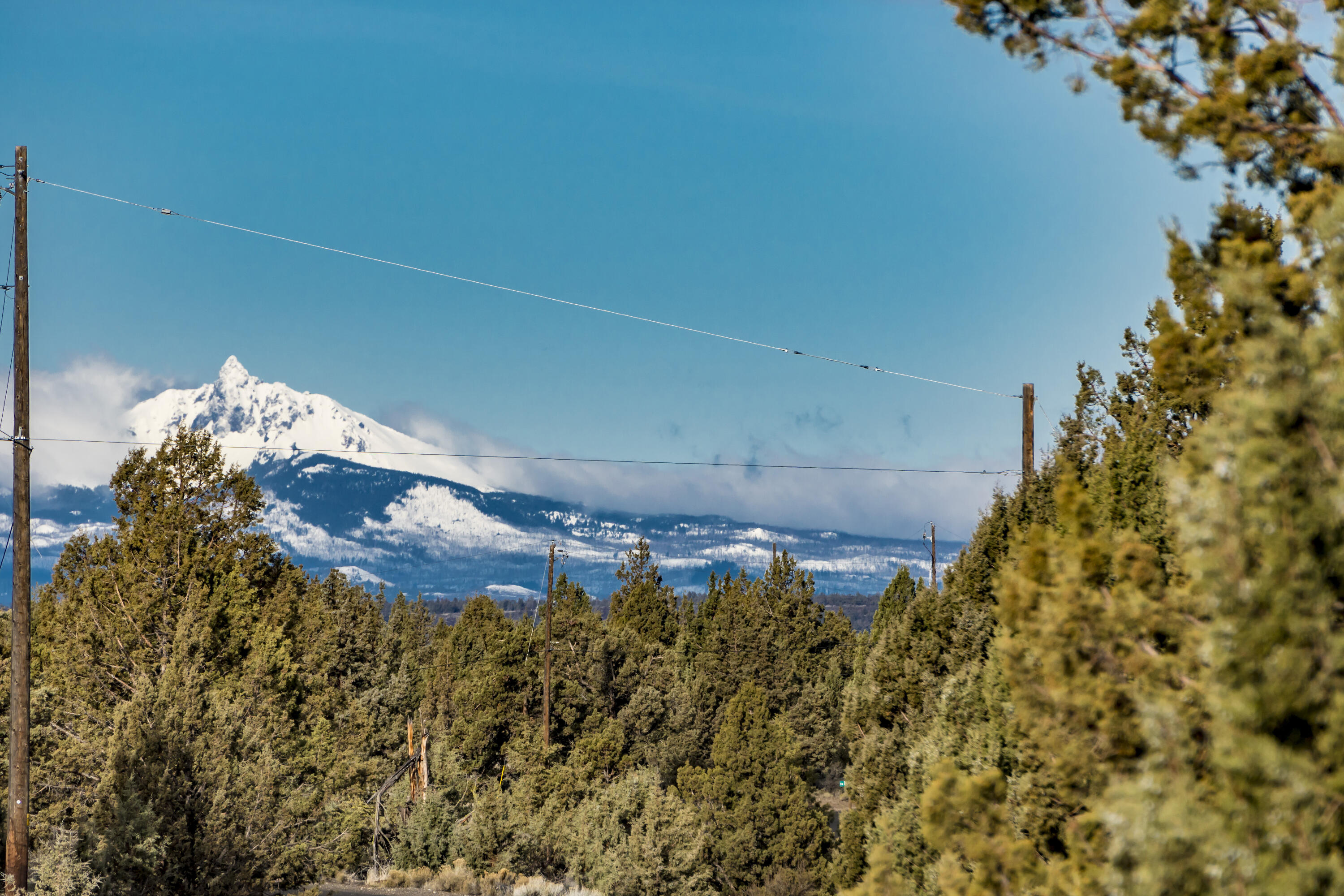 Lower Bridge Estate - Land