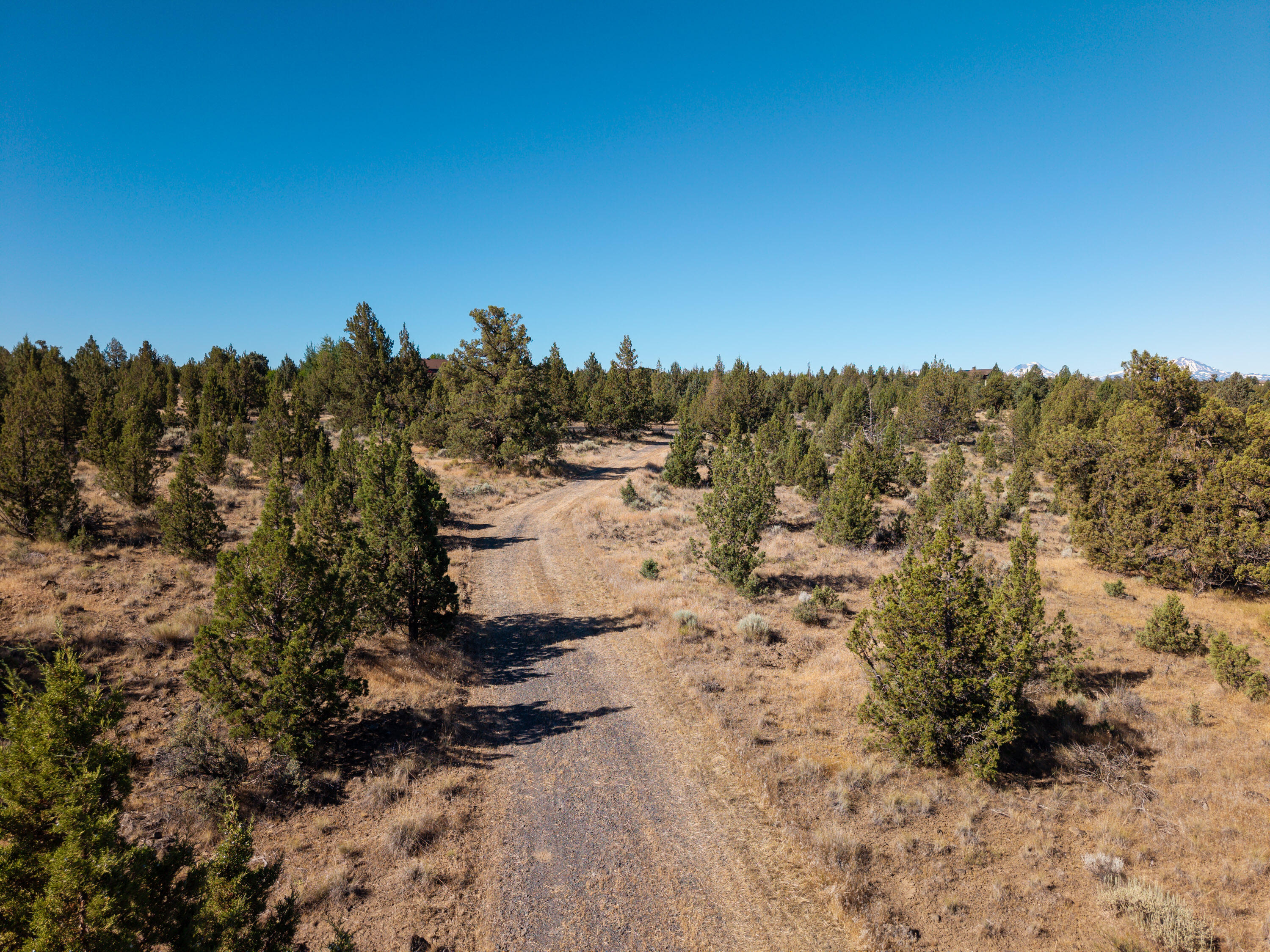 Lower Bridge Estate - Land