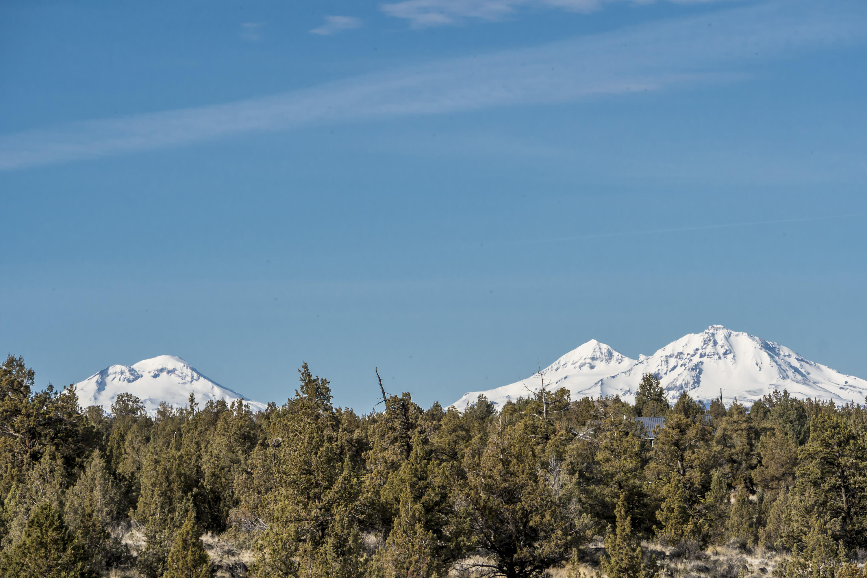 Lower Bridge Estate - Land
