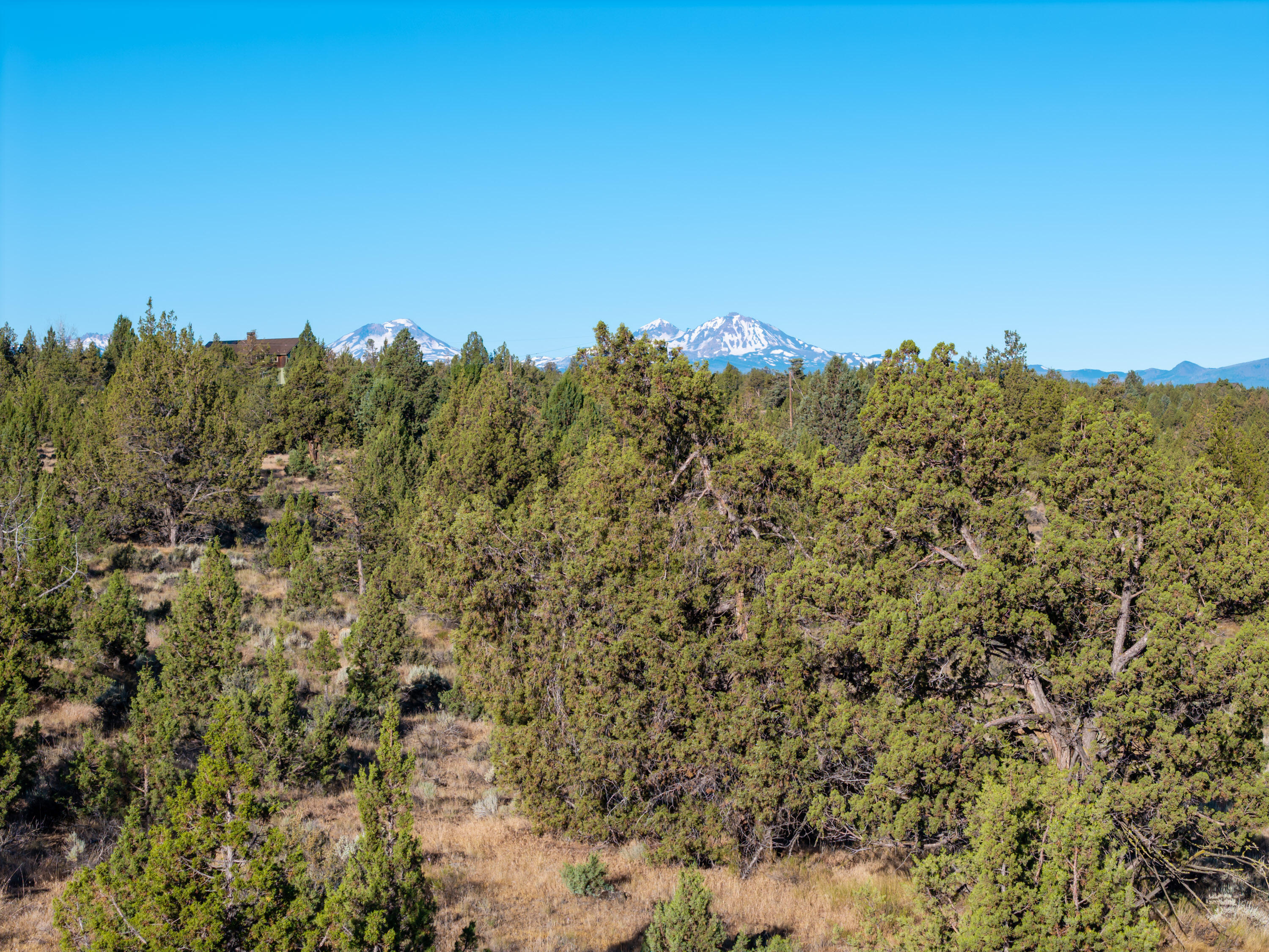 Lower Bridge Estate - Land