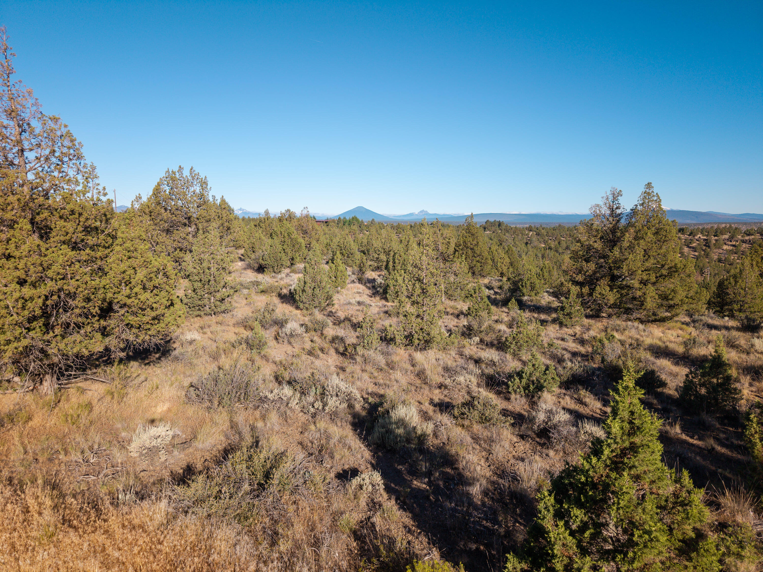 Lower Bridge Estate - Land