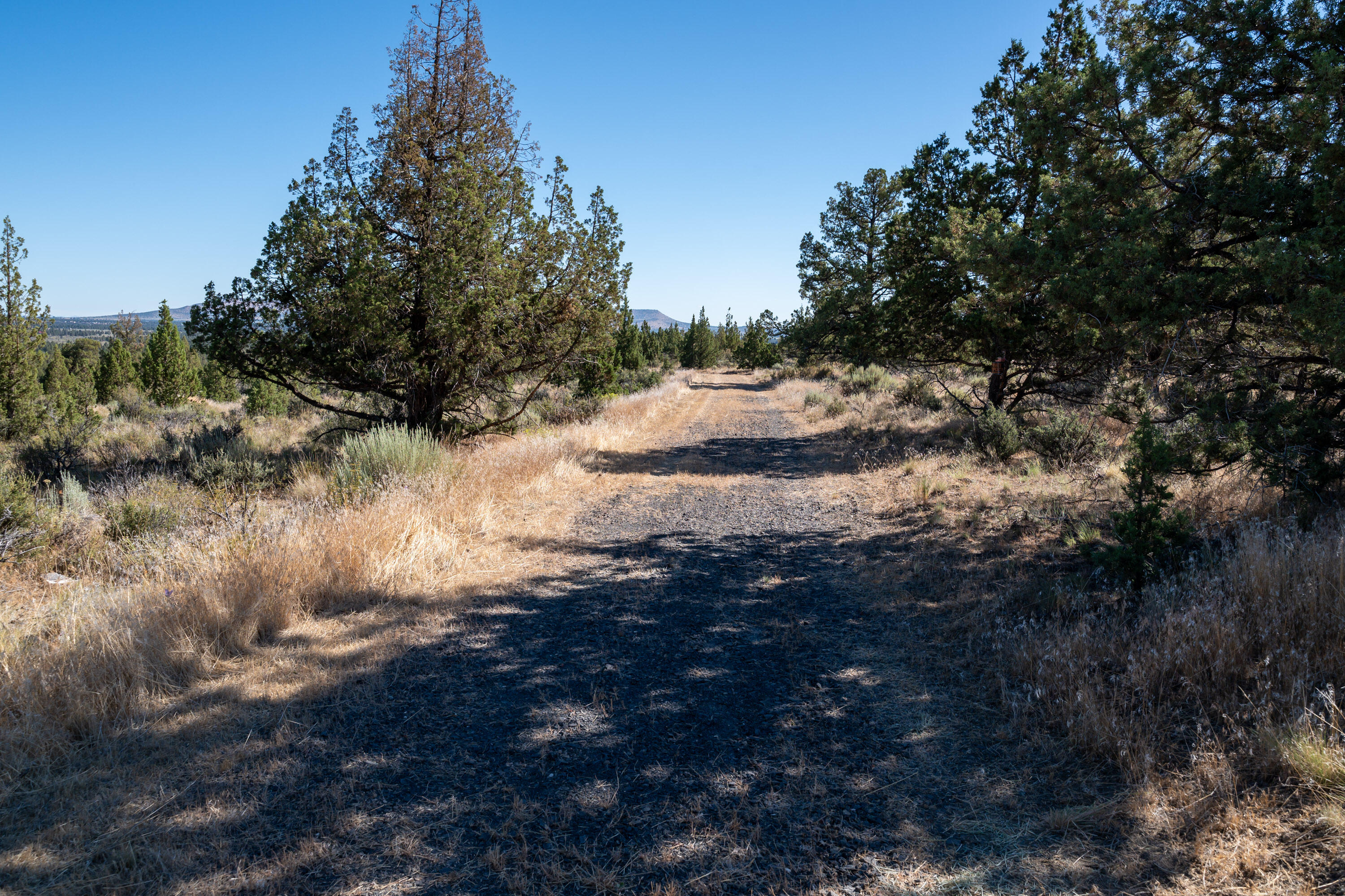 Lower Bridge Estate - Land