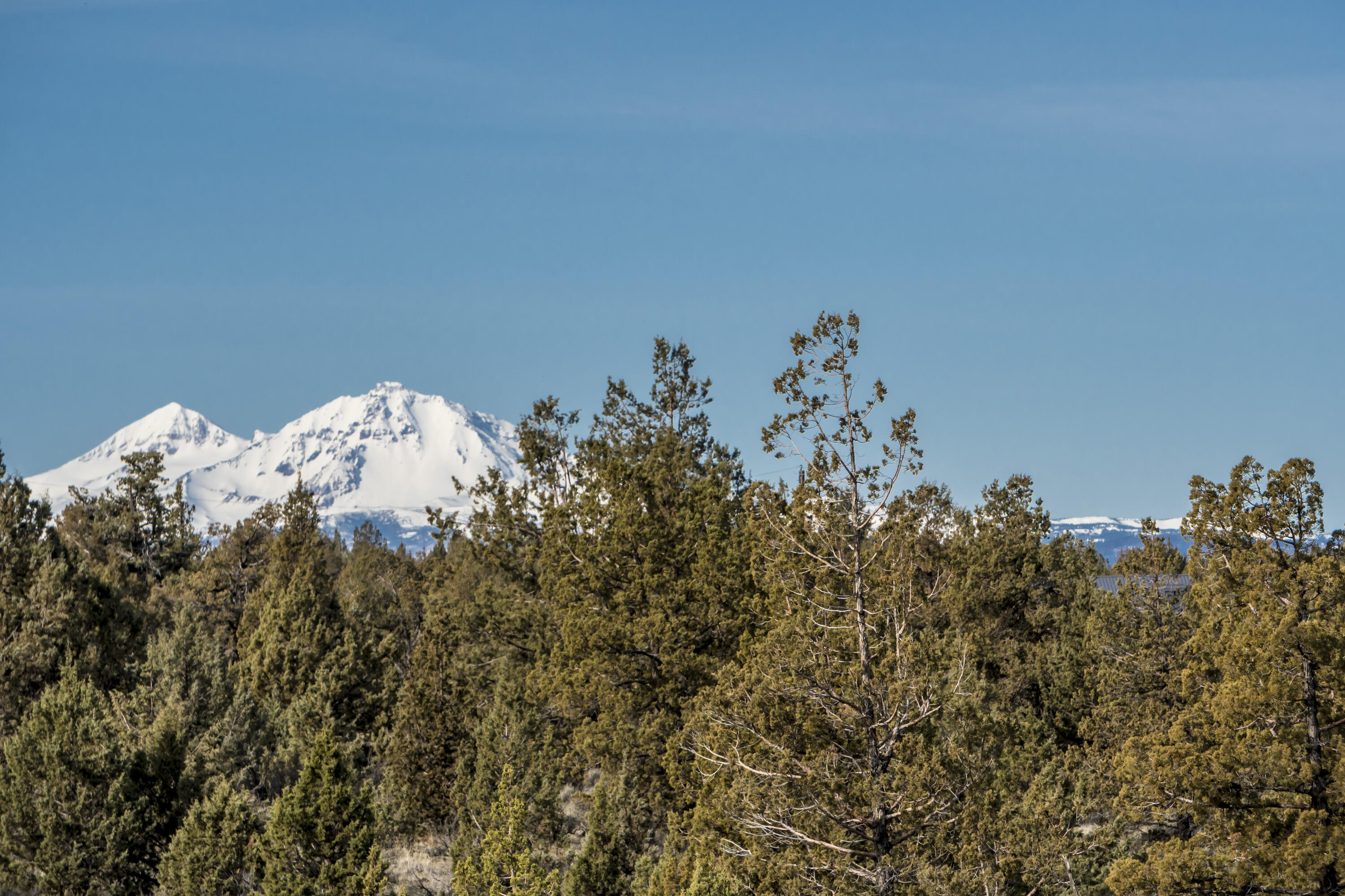 Lower Bridge Estate - Land