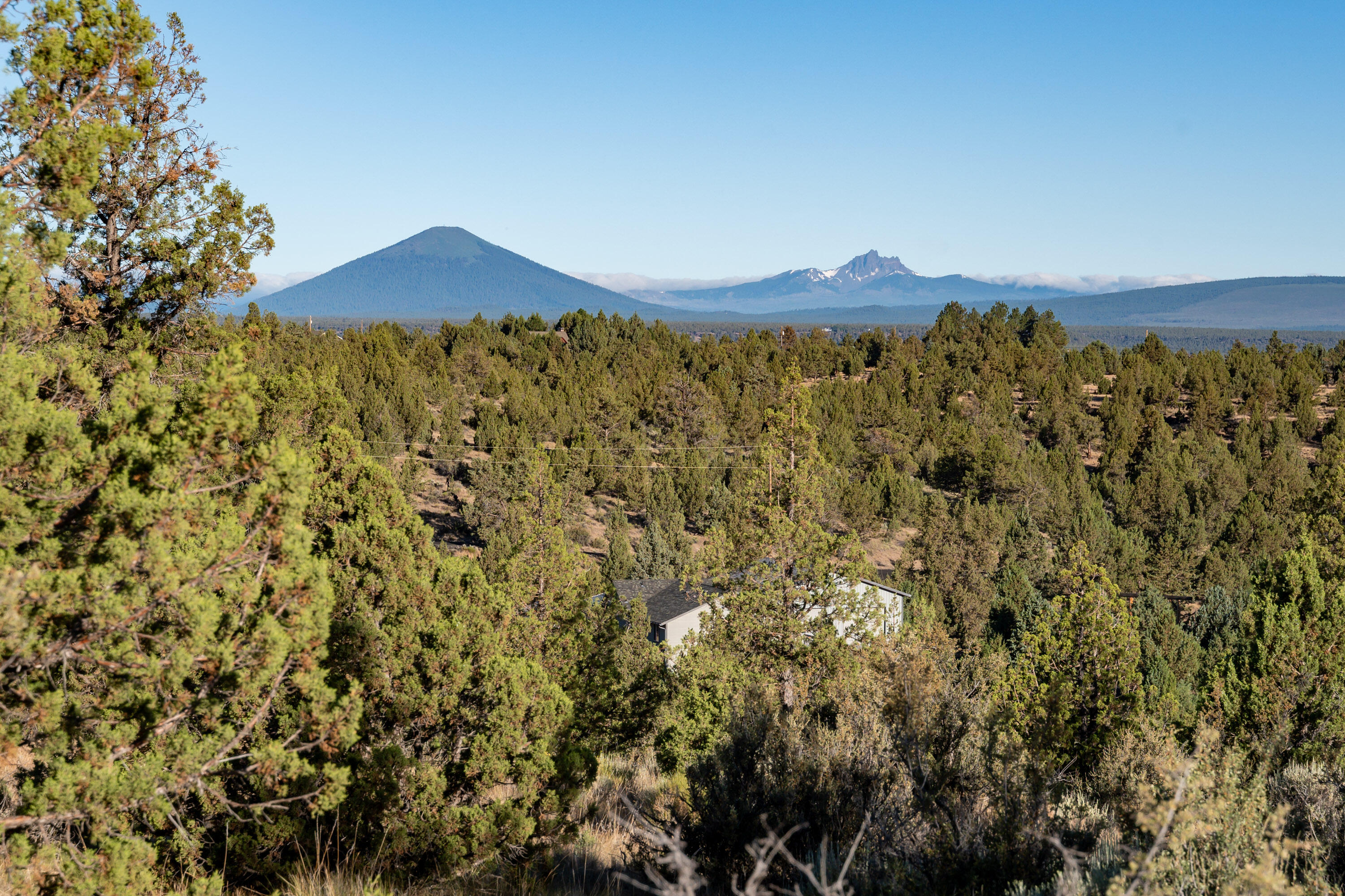 Lower Bridge Estate - Land