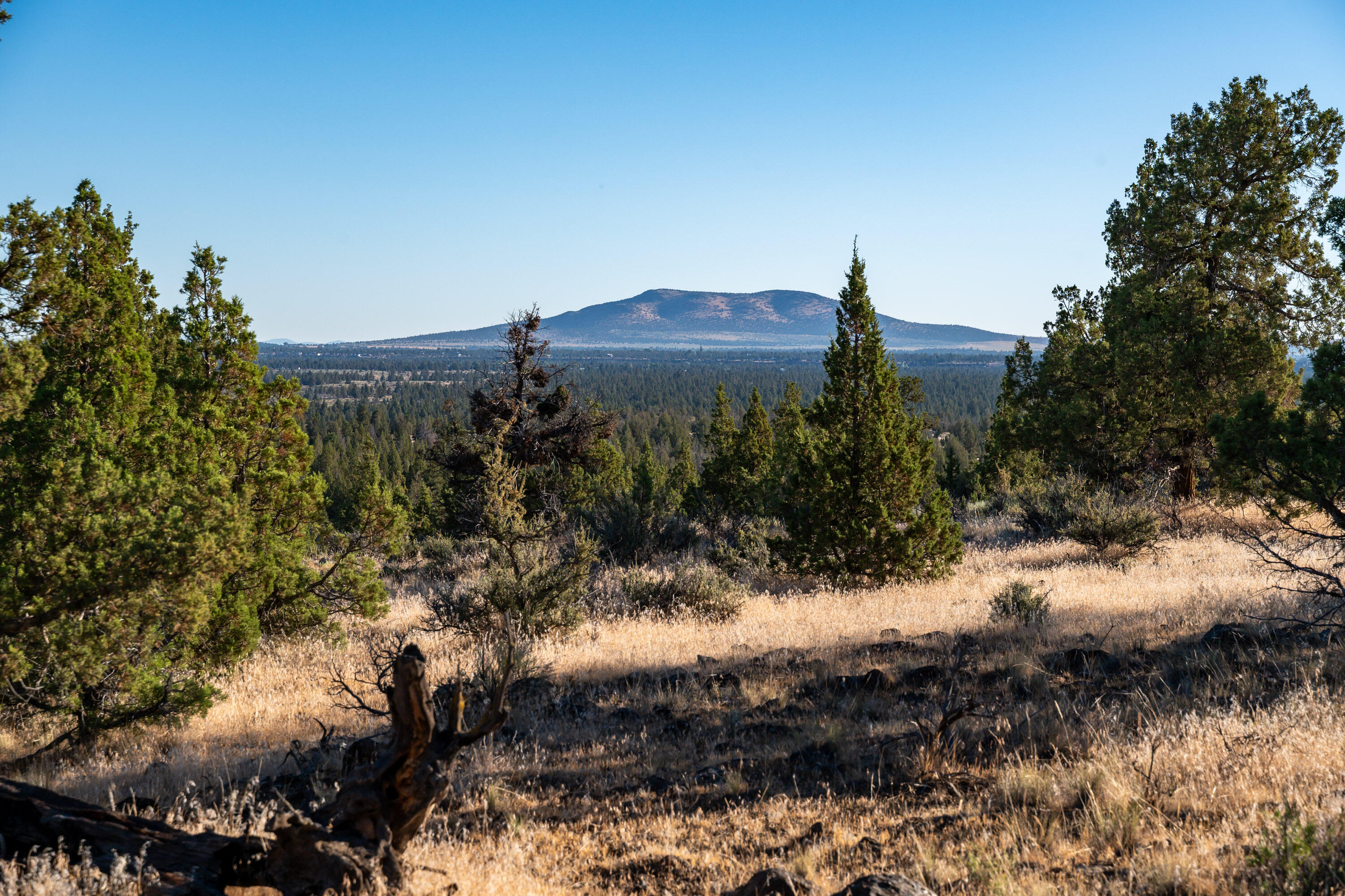 Lower Bridge Estate - Land