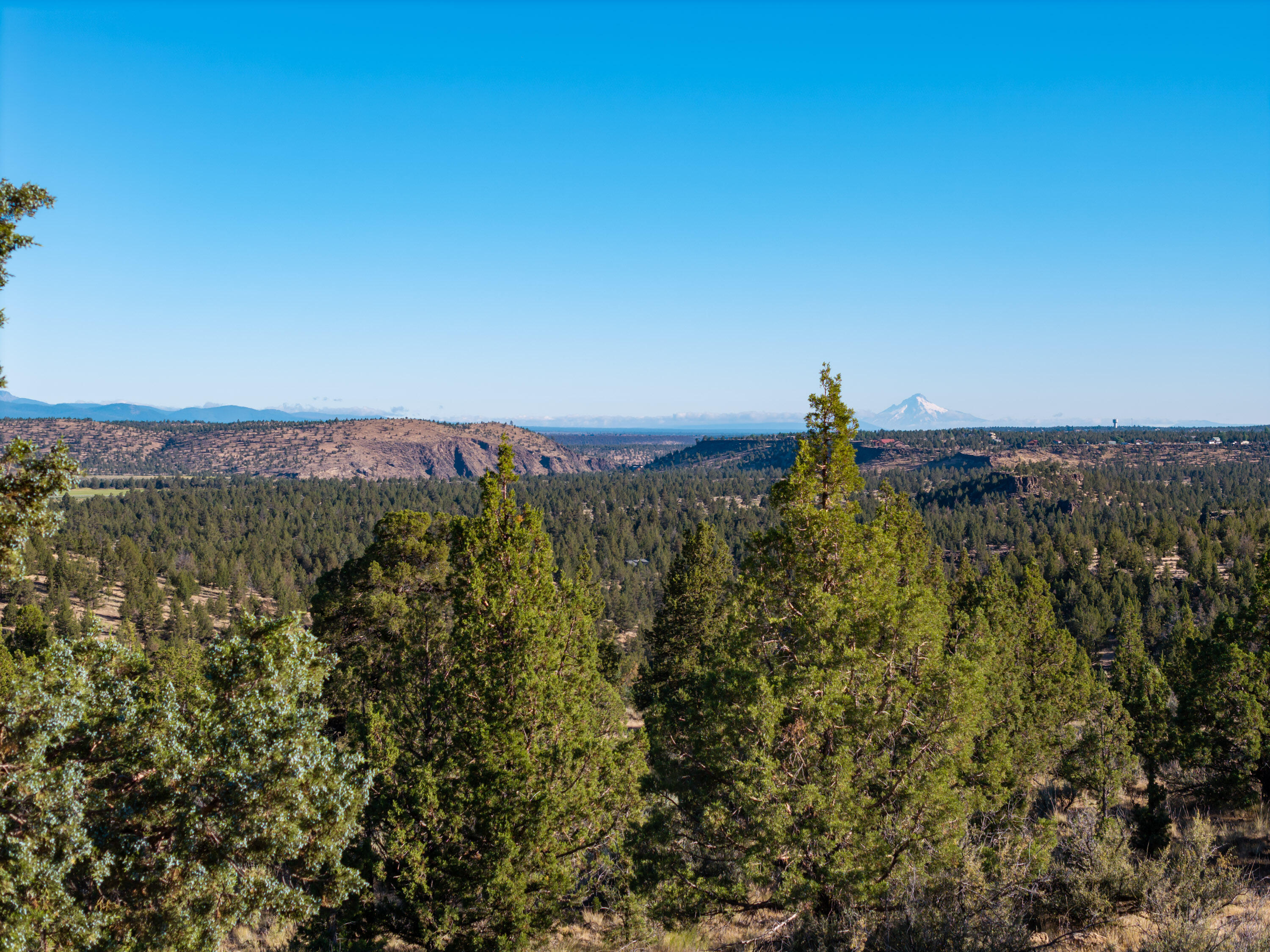 Lower Bridge Estate - Land
