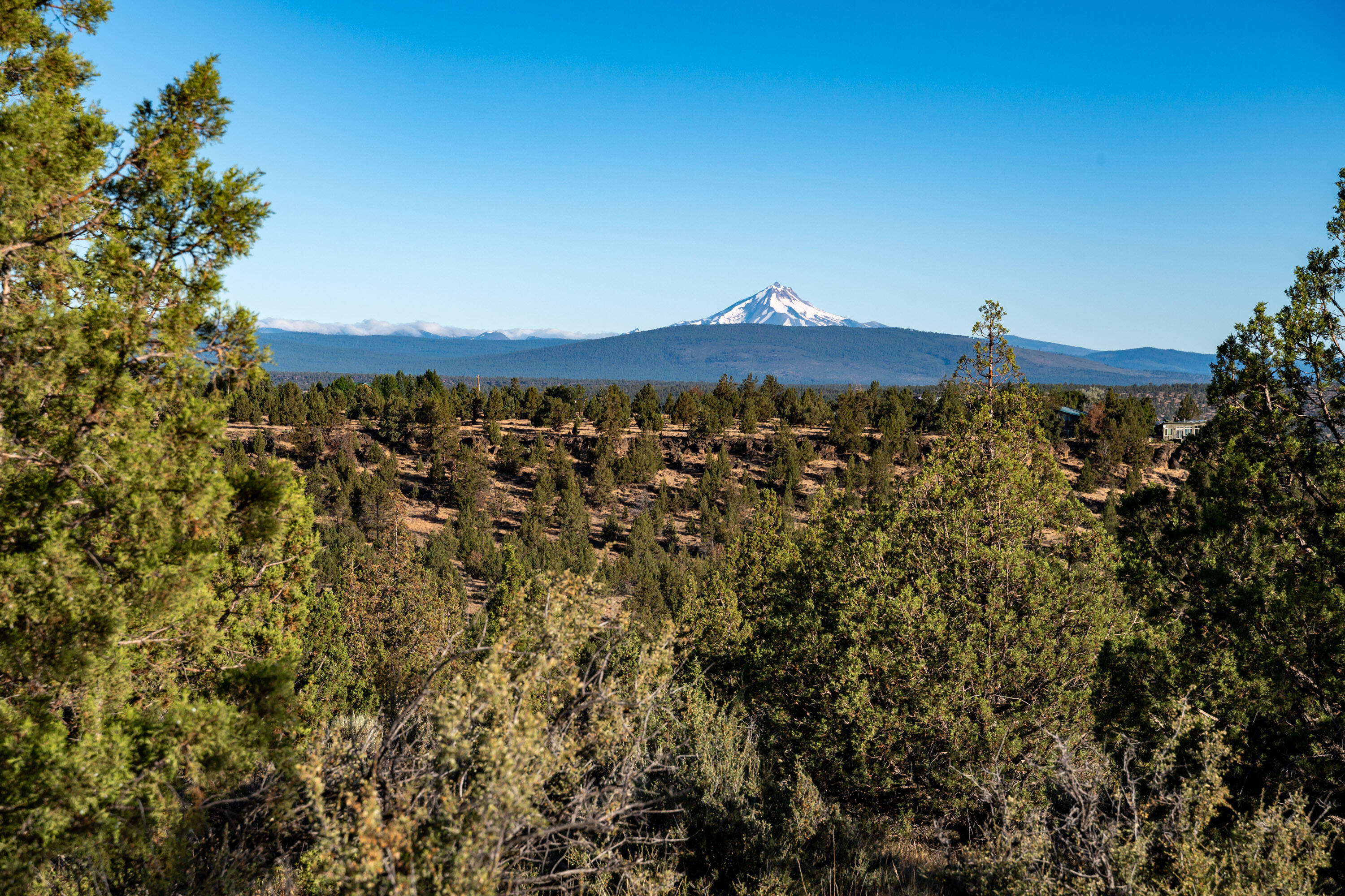 Lower Bridge Estate - Land