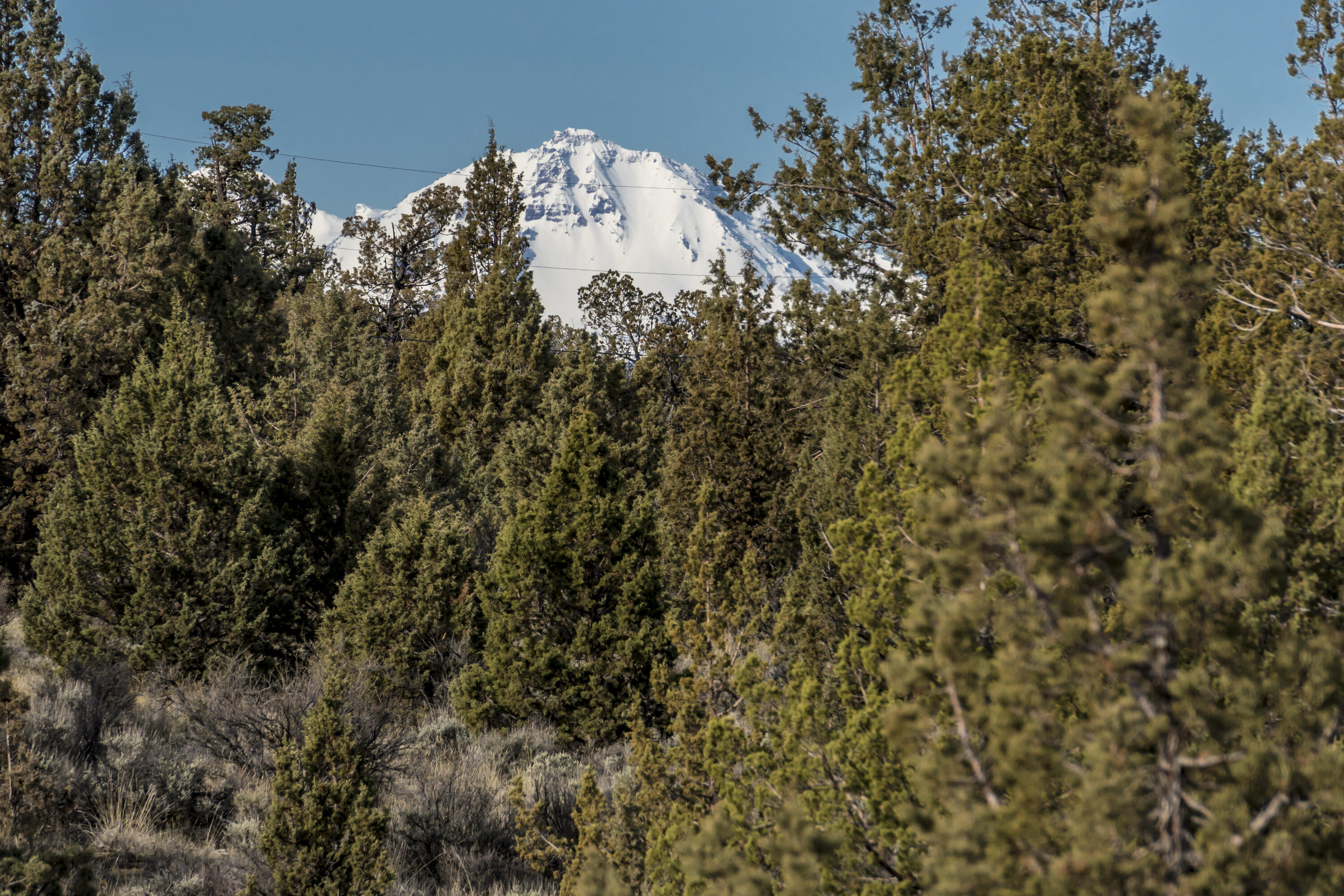 Lower Bridge Estate - Land