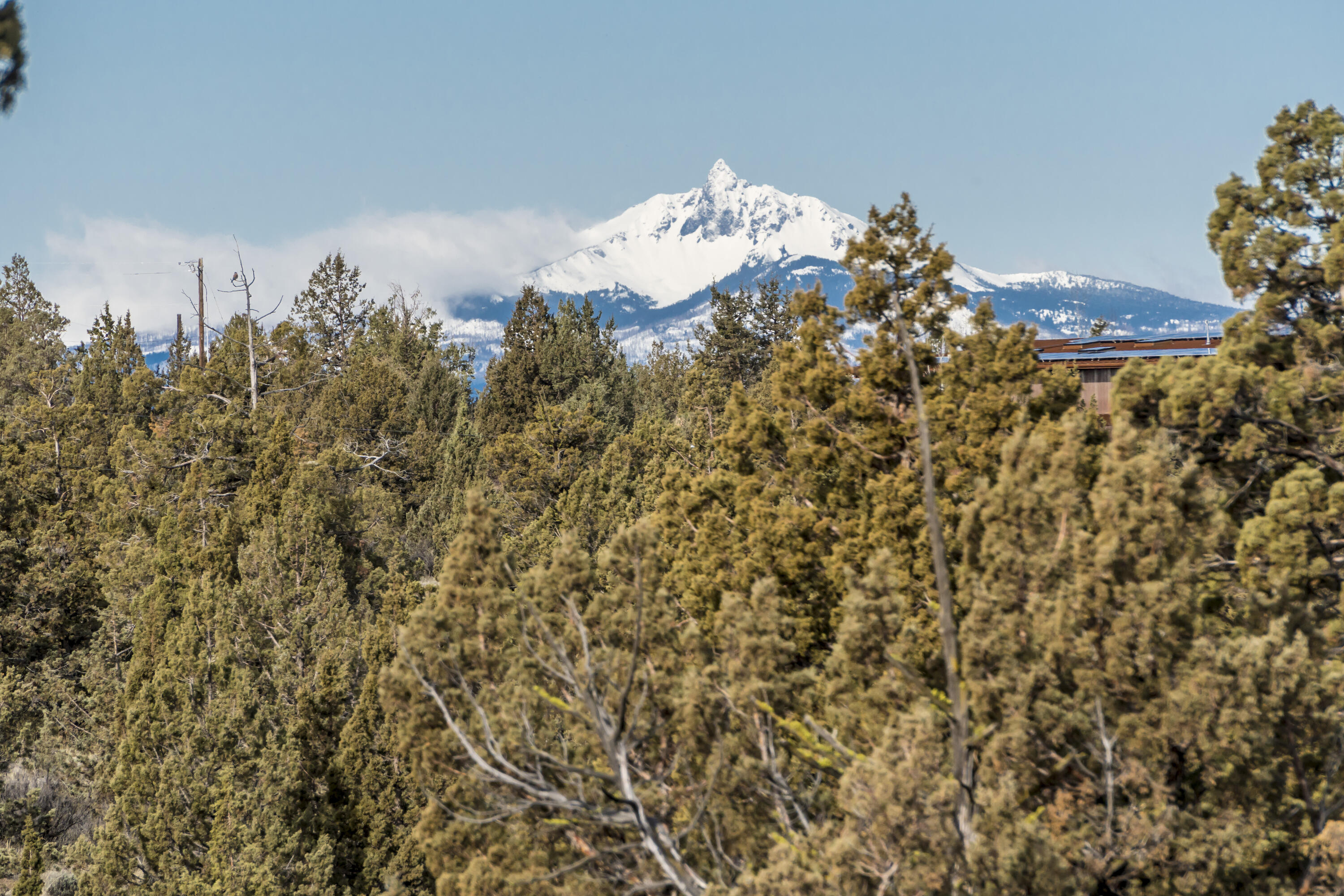 Lower Bridge Estate - Land