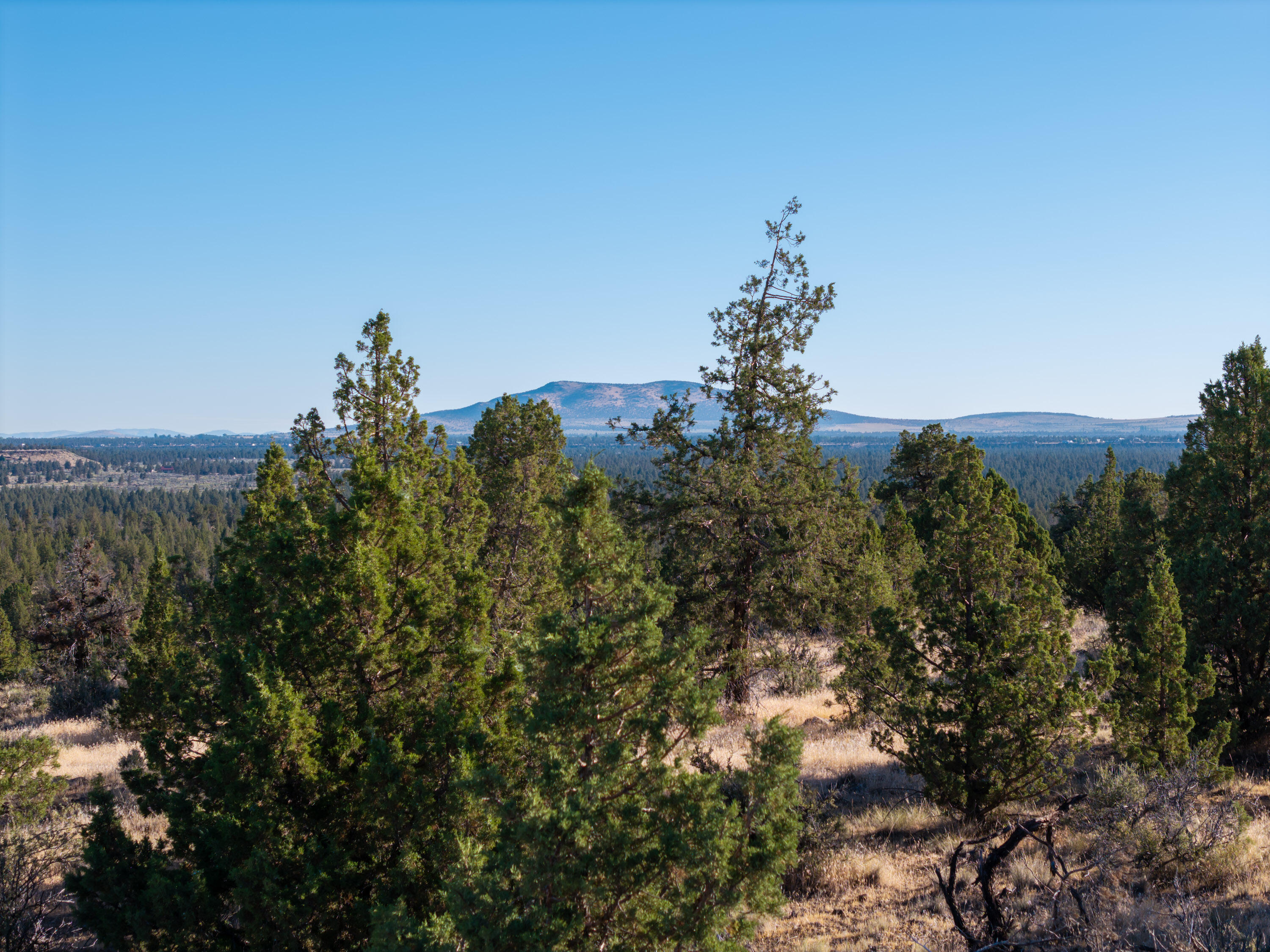 Lower Bridge Estate - Land