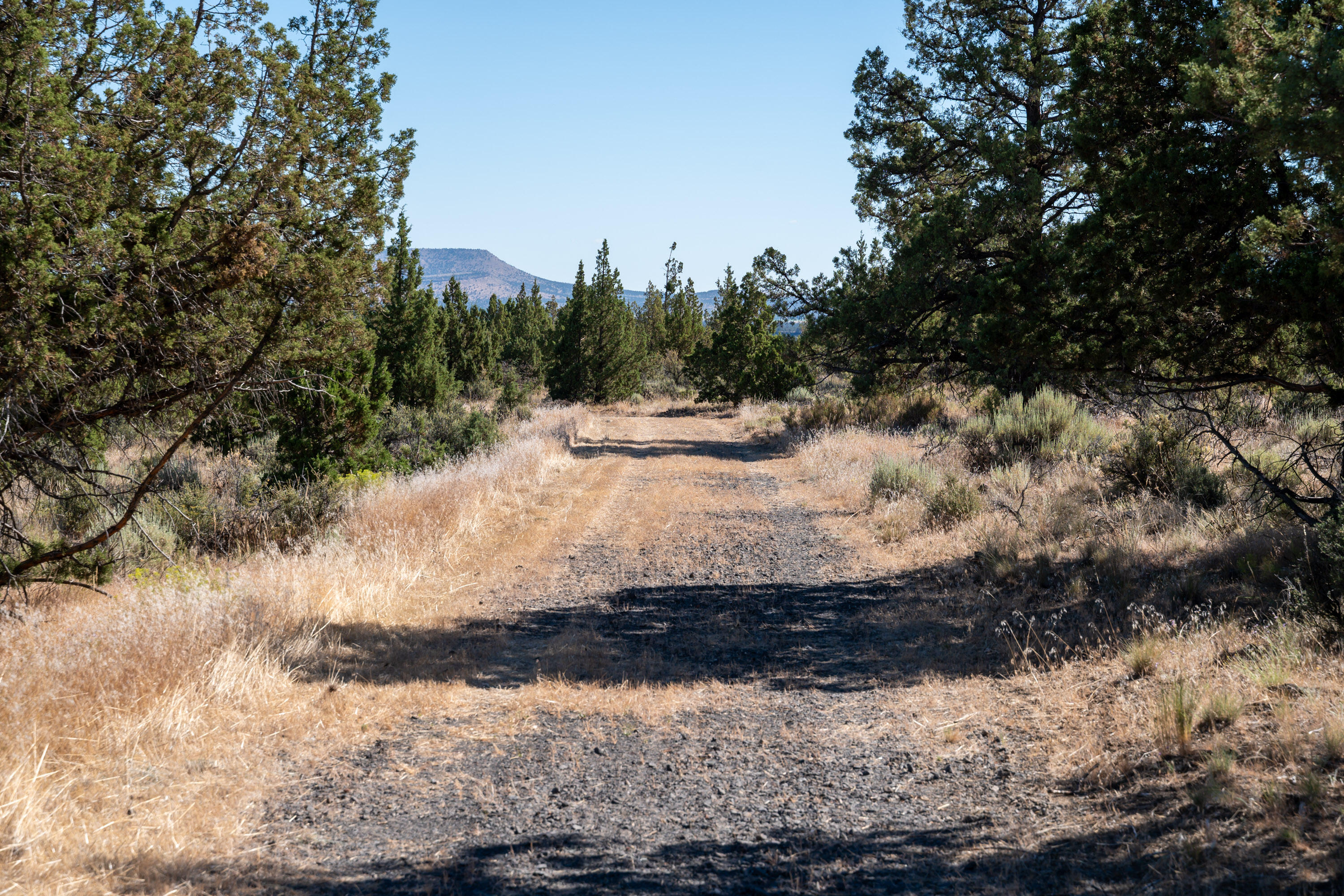 Lower Bridge Estate - Land