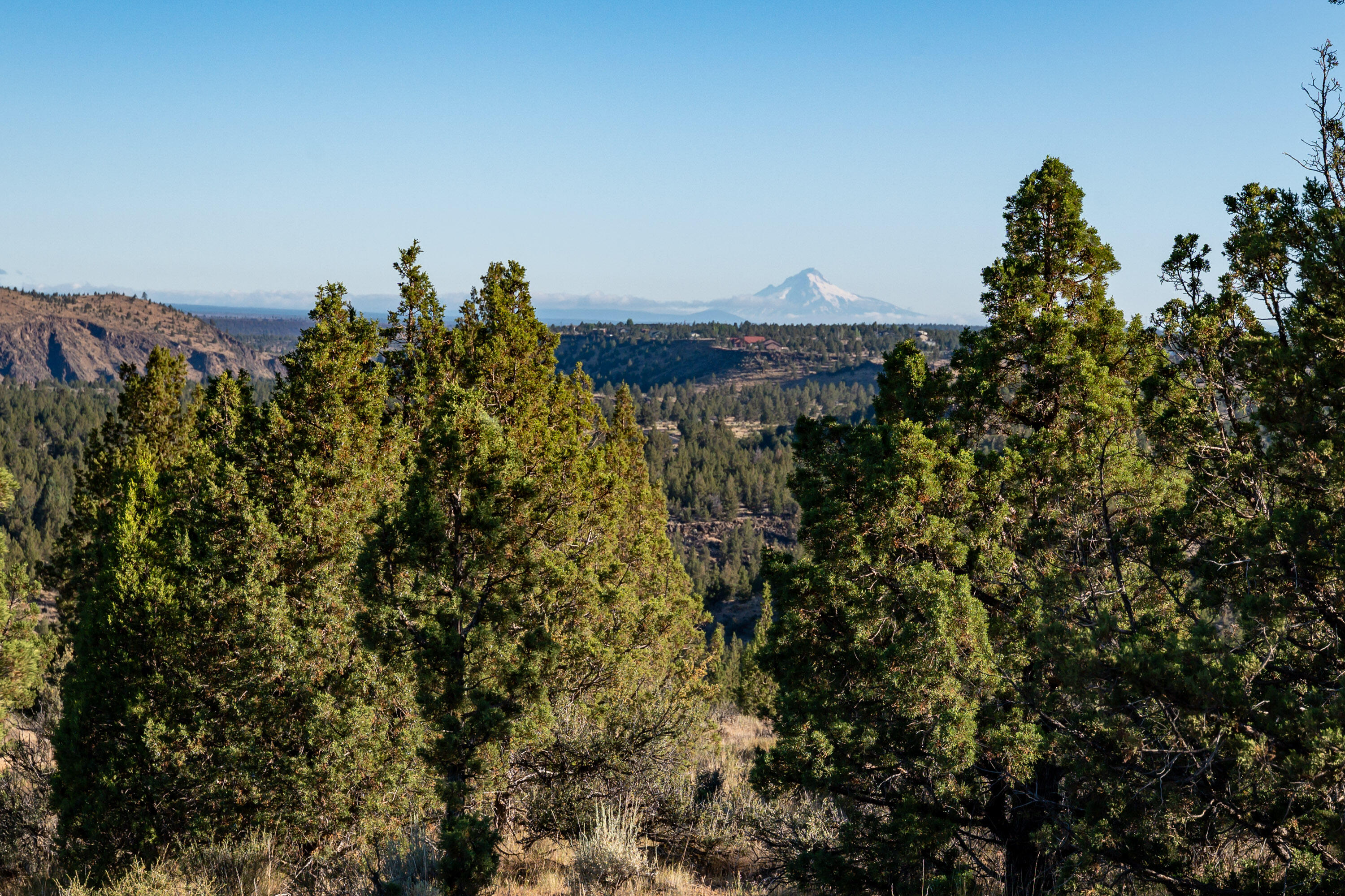 Lower Bridge Estate - Land