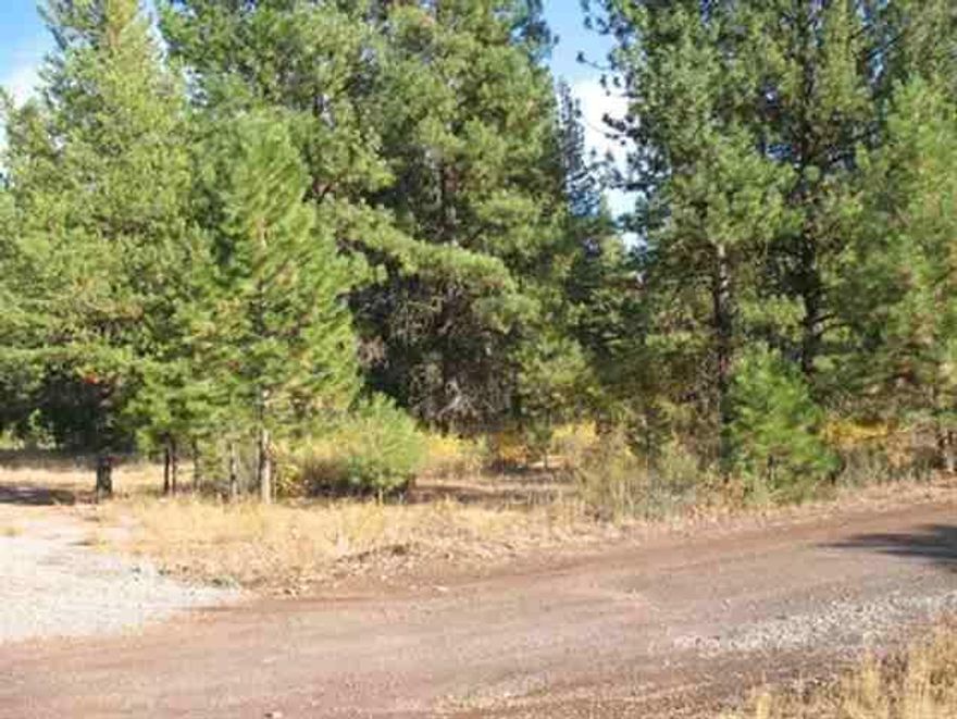 Just Over One Acre, Great Location, Power Nearby, Easy Access Off Hwy 140, Nicely Treed, Resides Next To Beautiful Log Cabin Home. Priced To Sell Very Quickly-rmv $102,420!