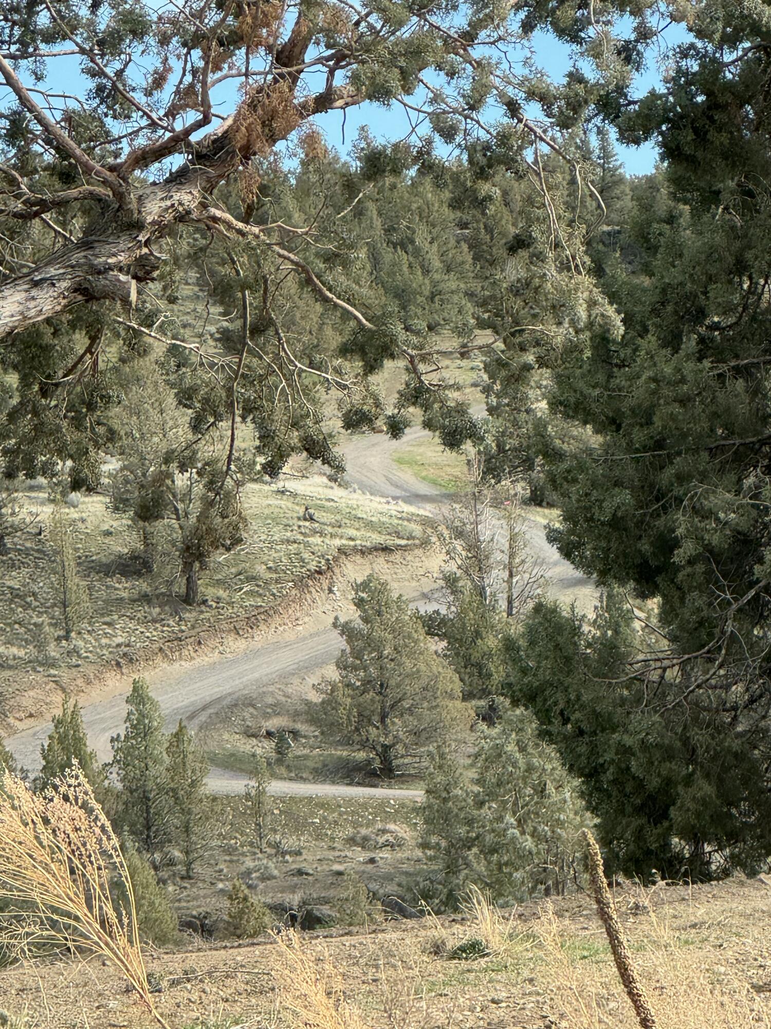 69900 NW Lower Valley Drive NW