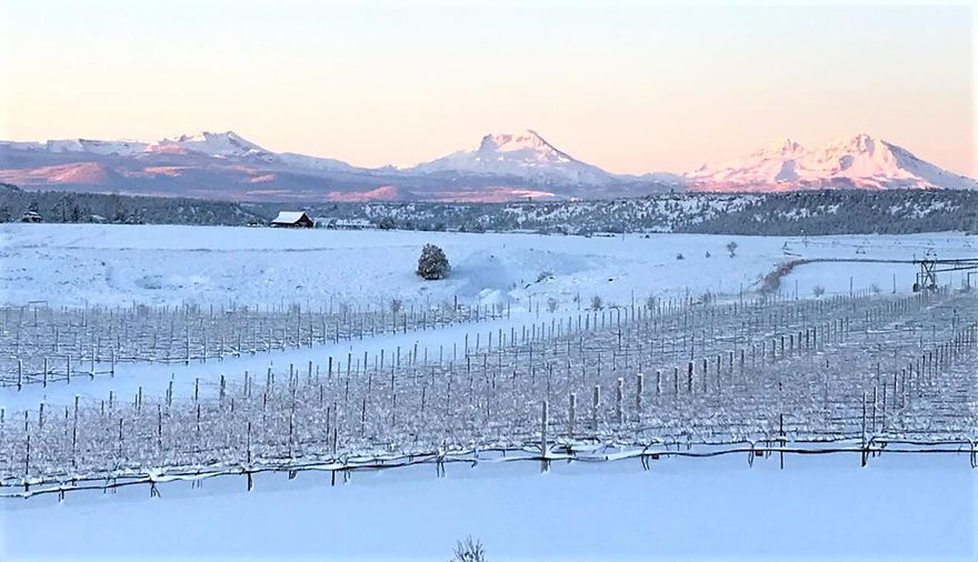 Discover 4.98 acres of rare, low density acreage in an intimate vineyard oriented community of only 9 homesites. mostly level, gentl slope parcel offers exceptional privacy and true elbow room — perfect for a vineyard, hobby farm, equestrian estate or your forever home. Zoned EFU  eligible for farm use designation, the lot invites agricultural pursuits — bring your horses, chickens and dreams of country living.

Seller will provide well(s), septic &  power to the site, significantly reducing site development hurdles. Beyond the property enjoy daily wildlife sightings including deer, fox,  bald eagles and occasional elk, plus sweeping views of the Ochocos, Smith Rock & the Cascade Range. With more than 30,000 acres of BLM public land bordering the community, you'll have open-country riding, hiking and exploration at your doorstep — peace of mind against dense future development.
Lifestyle-minded buyers will appreciate the vineyard community w/trail riding and hiking at your door