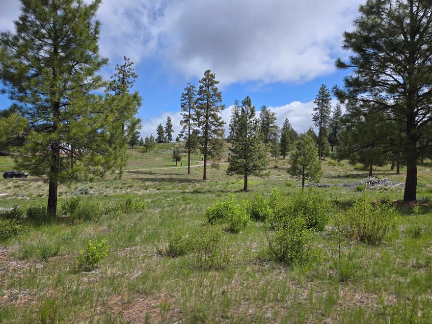Build your dream home on this beautiful 10 acre lot in Chiloquin with gorgeous views of Agency Lake.  Lot has some trees. Lots of opportunities for boating, hunting and fishing nearby.  Close to the Williamson River, Pacific Crest Trail, Crater Lake, Kla-Mo-Ya casino, gas station, schools, restaurants and bars and community center.  Go see this beautiful piece of property soon and make it your own!