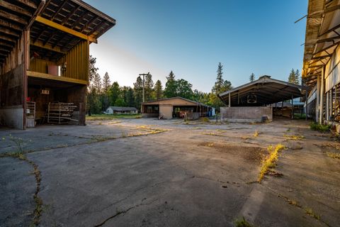 Tiny photo for 6531 Lower River Road RD, Grants Pass, OR 97526 (MLS # 220222987)