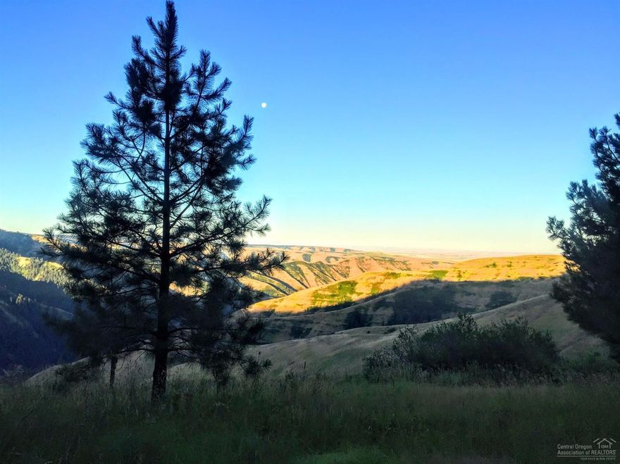 n unduplicateable property a short 20 minutes from Milton Freewater and 30 minutes from Walla Walla. IT is a recreational dream for elk, bear, deer, cats and wildlife. Fishing, hiking and snowmobiling abound as well as 4 wheeling!A timber cruise has been performed. There is a caretaker and lease for cows in place. It is totally self contained and power system operates off of propane. The property consists of 6 contiguous tax parcels.