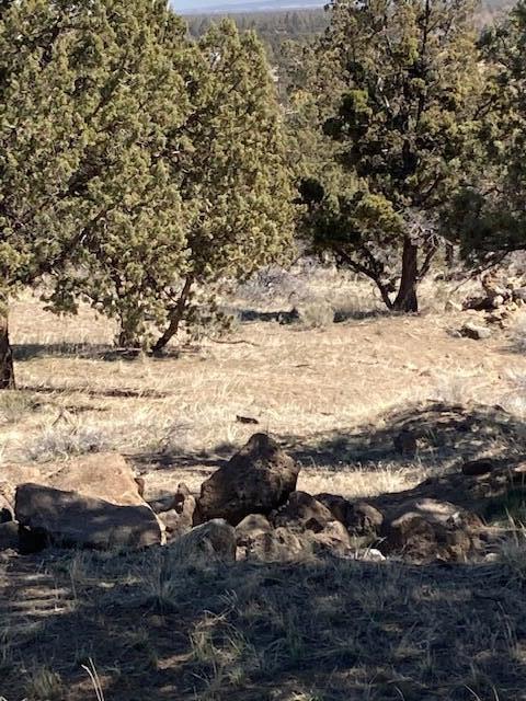 Whispering Pines - Land