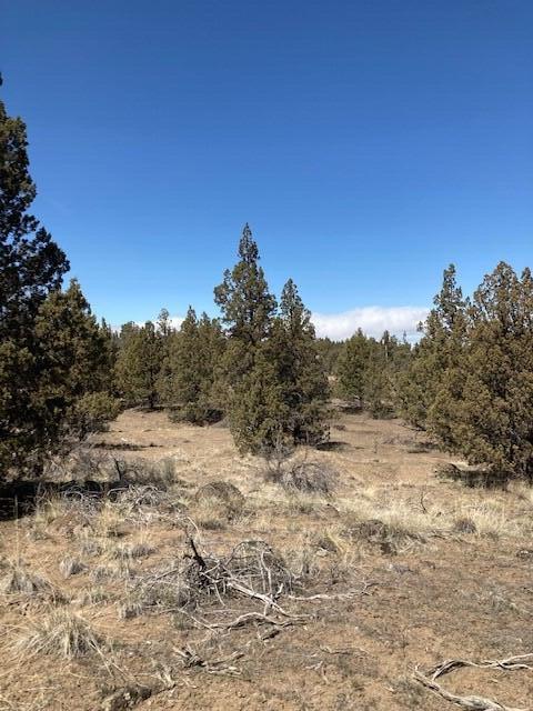 Whispering Pines - Land