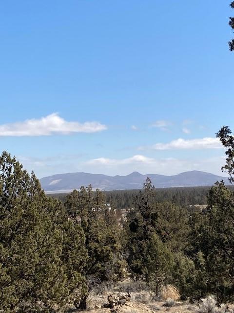 Whispering Pines - Land