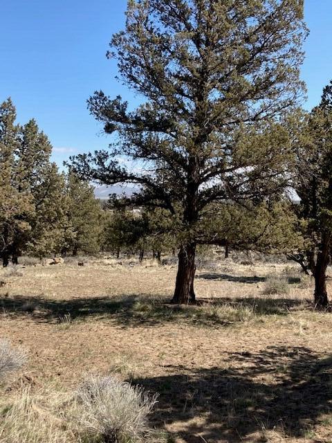 Whispering Pines - Land