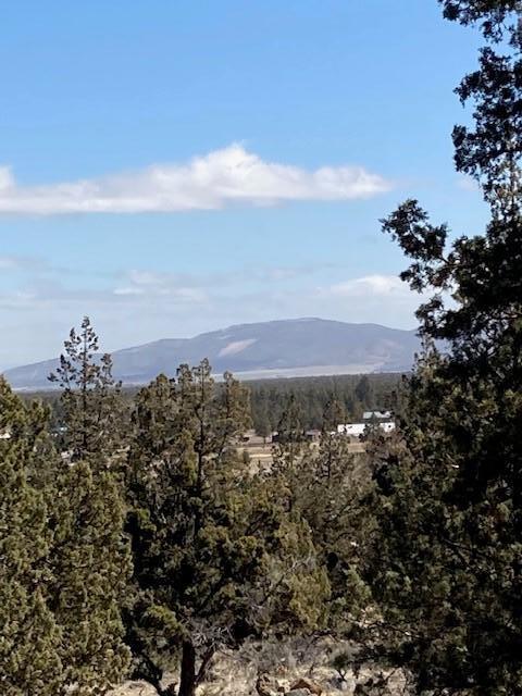 Whispering Pines - Land