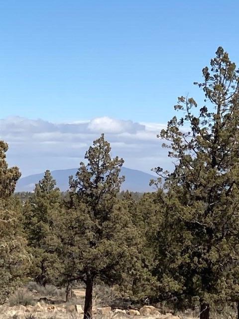 Whispering Pines - Land