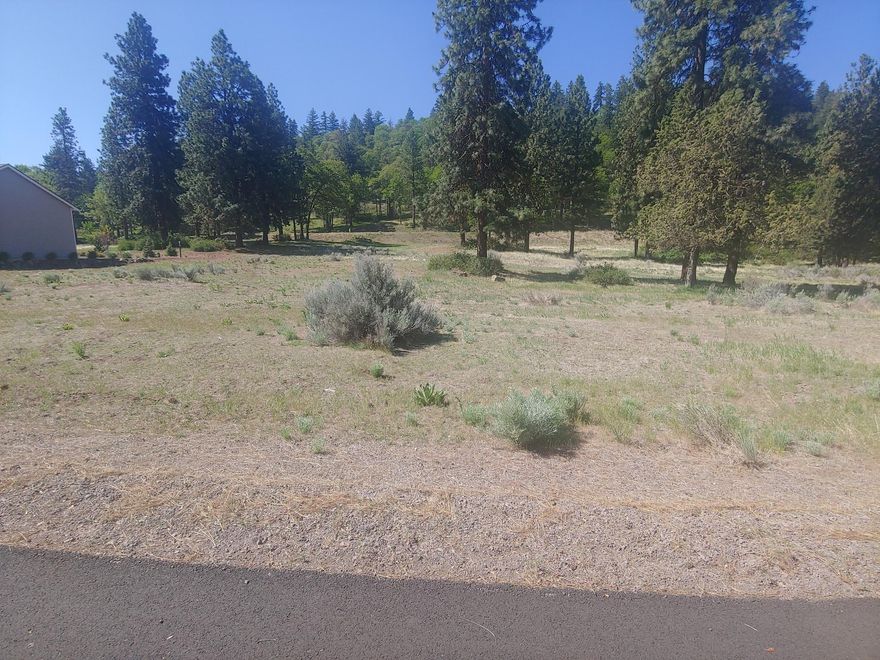 Nice level home site near the lake and across from the Skillet Handle, biking and hiking. The adjacent lot is available (mls#220122882) to add to your privacy.  Lakeside Estates in the Running Y is the only neighborhood  on the lake ..you will have fishing and boating just steps away.  Plan your dream home, buy now and build later.