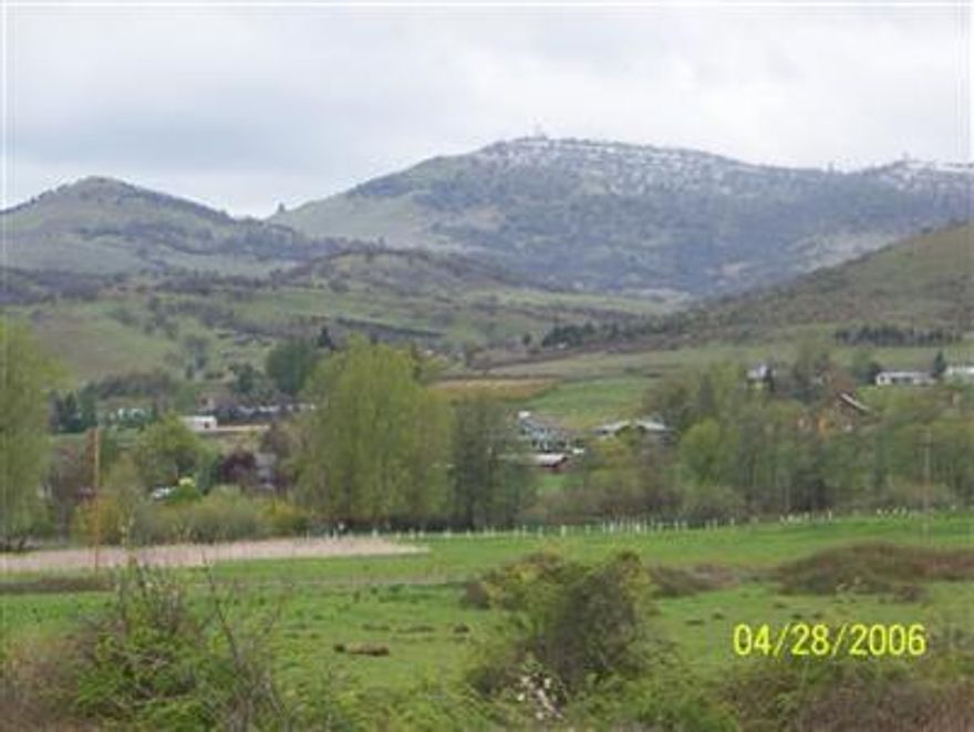 Homesite approved!!! This property is beautiful with rolling hills and a possible knoll top homesite location with fantastic views of the valley. There are not many sites that will beat this one. Access from Valley View or Butler Lane. Perfect for a Gentleman's Ranch or Farm; Irrigation Rights; Close to town and noe freeway noise!