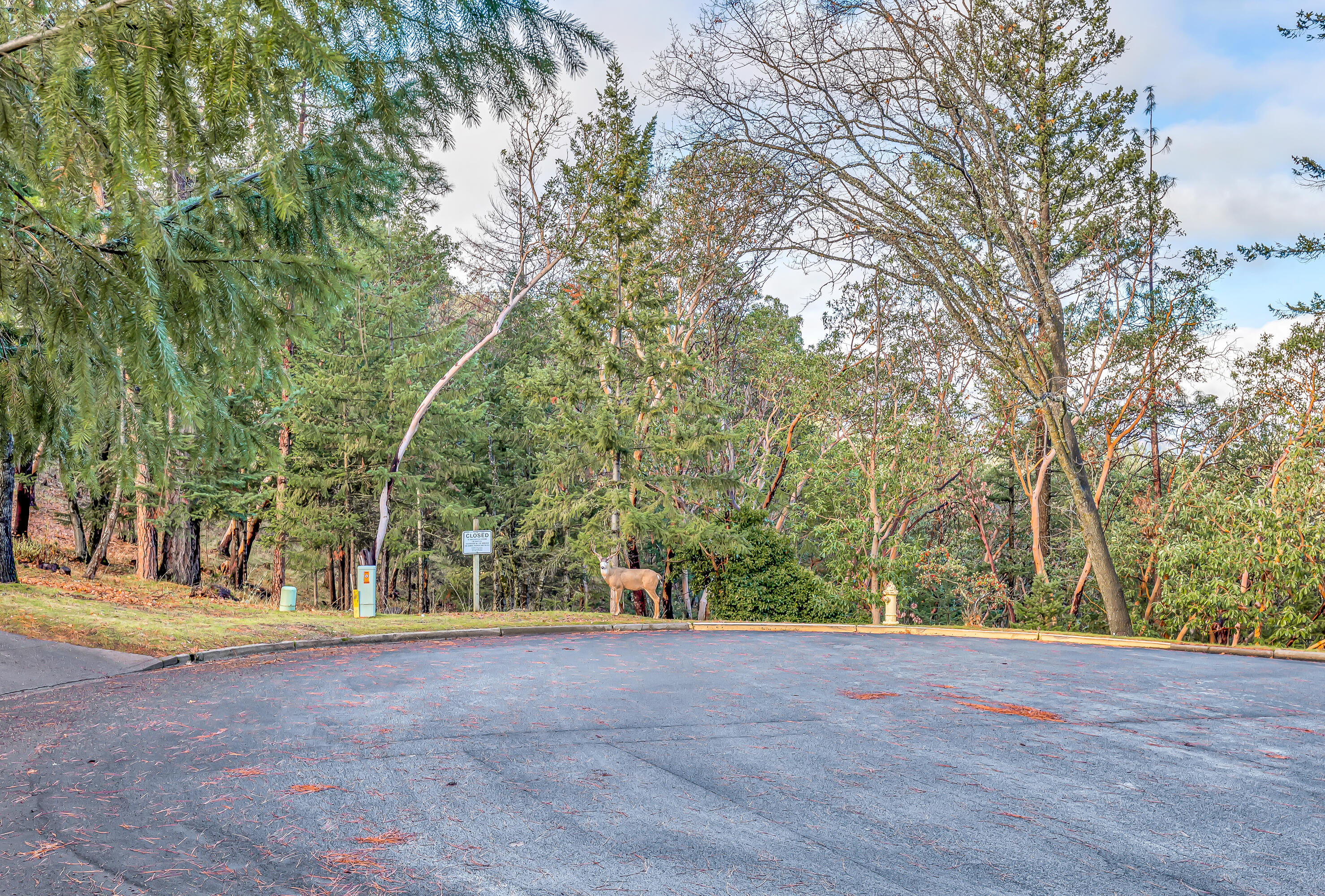 Timber Line Subdivision - Residential