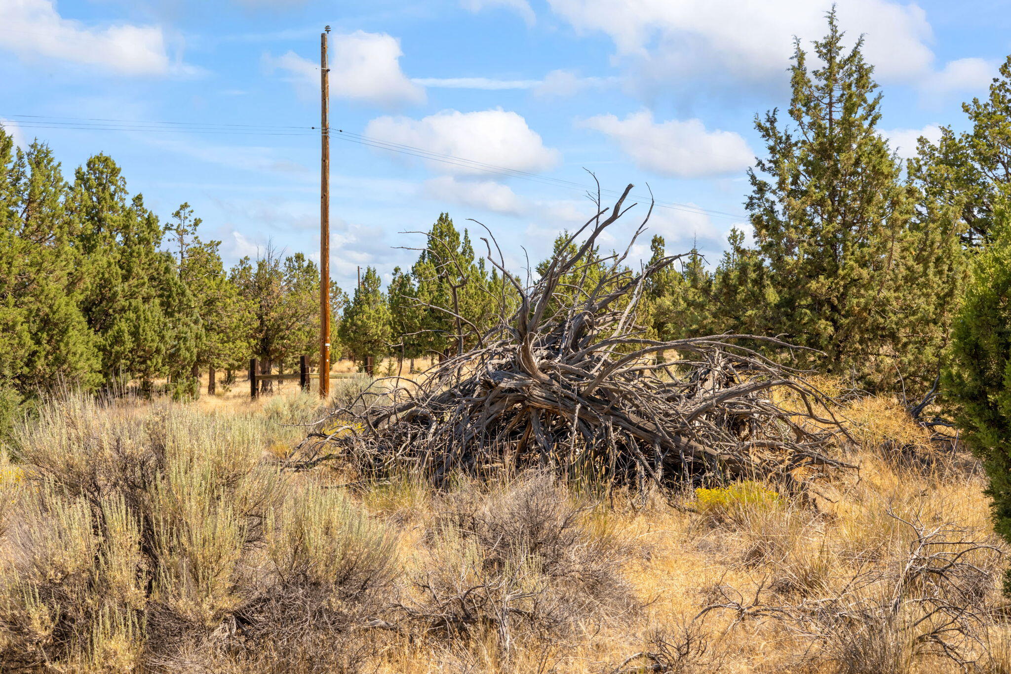 Prineville Lake Acres 2 - Land