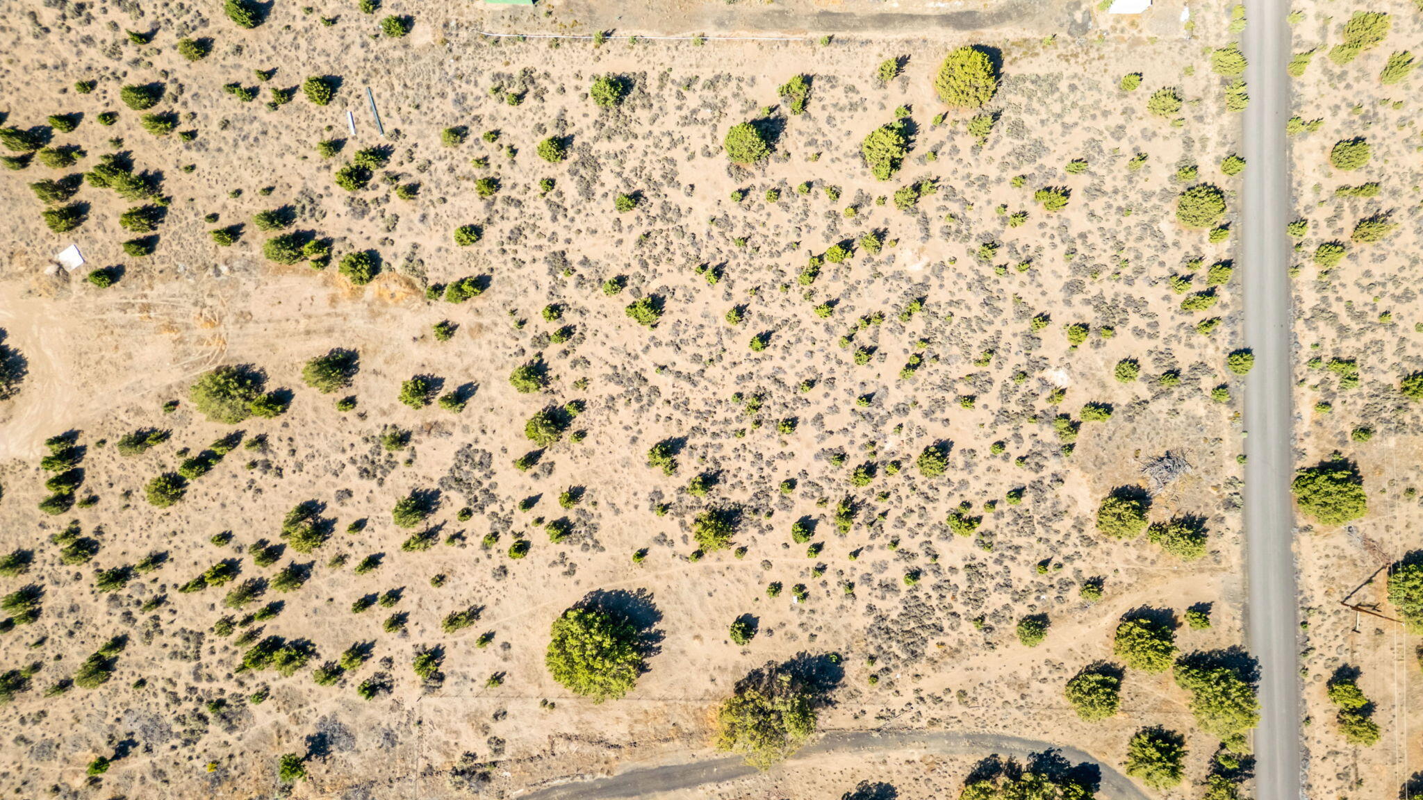 Prineville Lake Acres 2 - Land