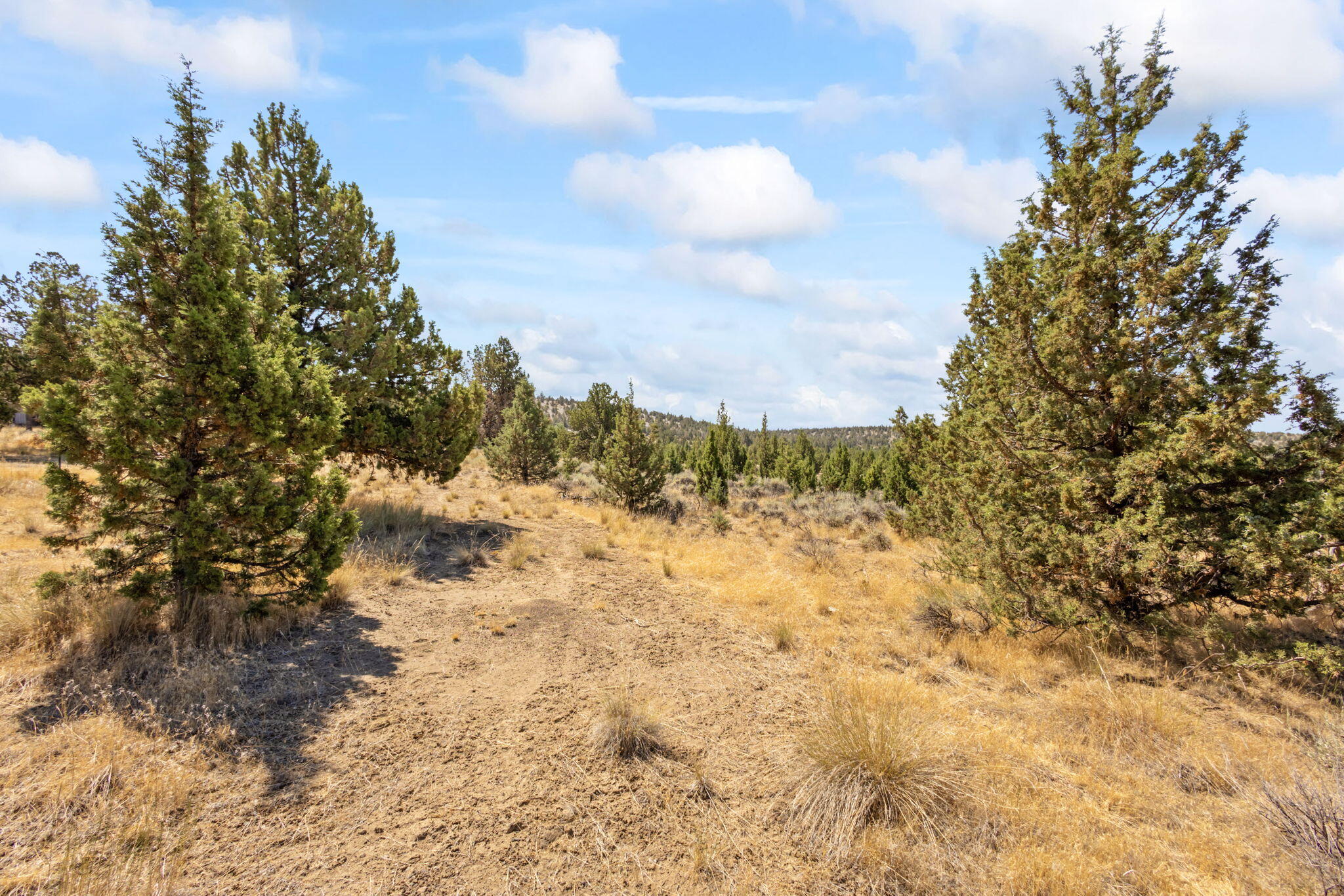 Prineville Lake Acres 2 - Land