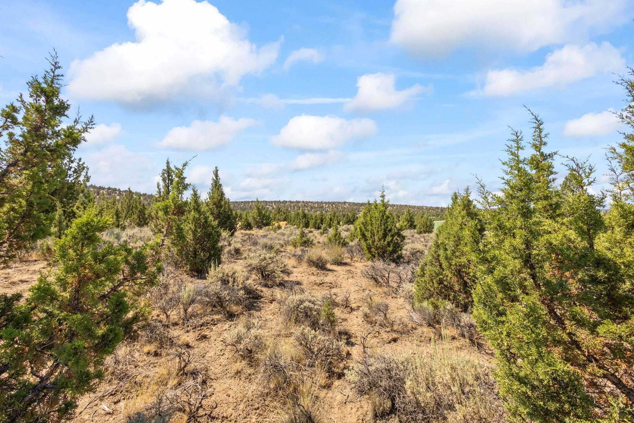 Prineville Lake Acres 2 - Land