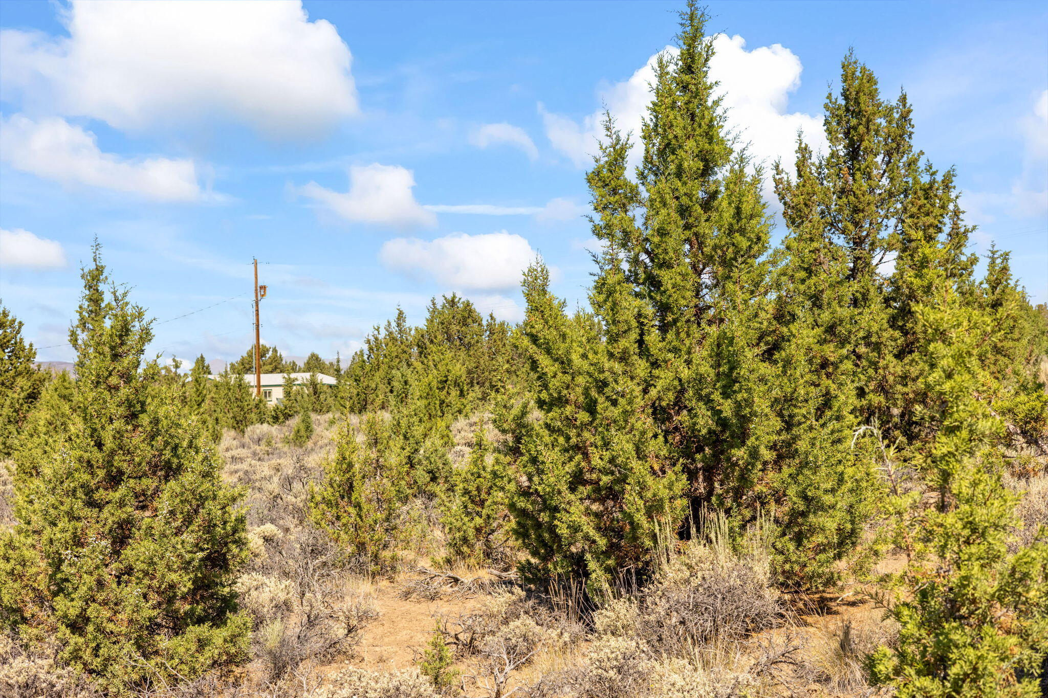 Prineville Lake Acres 2 - Land
