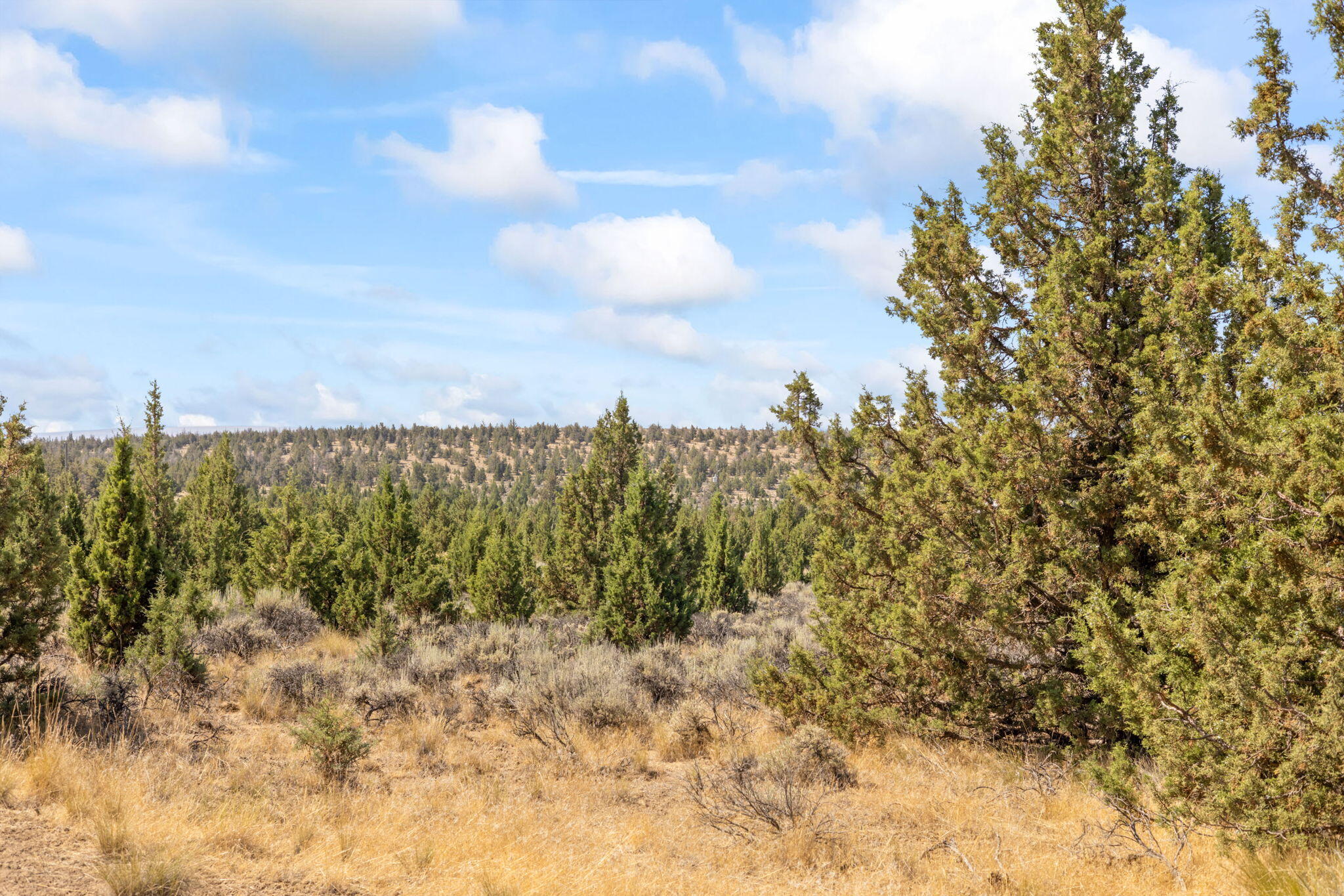 Prineville Lake Acres 2 - Land