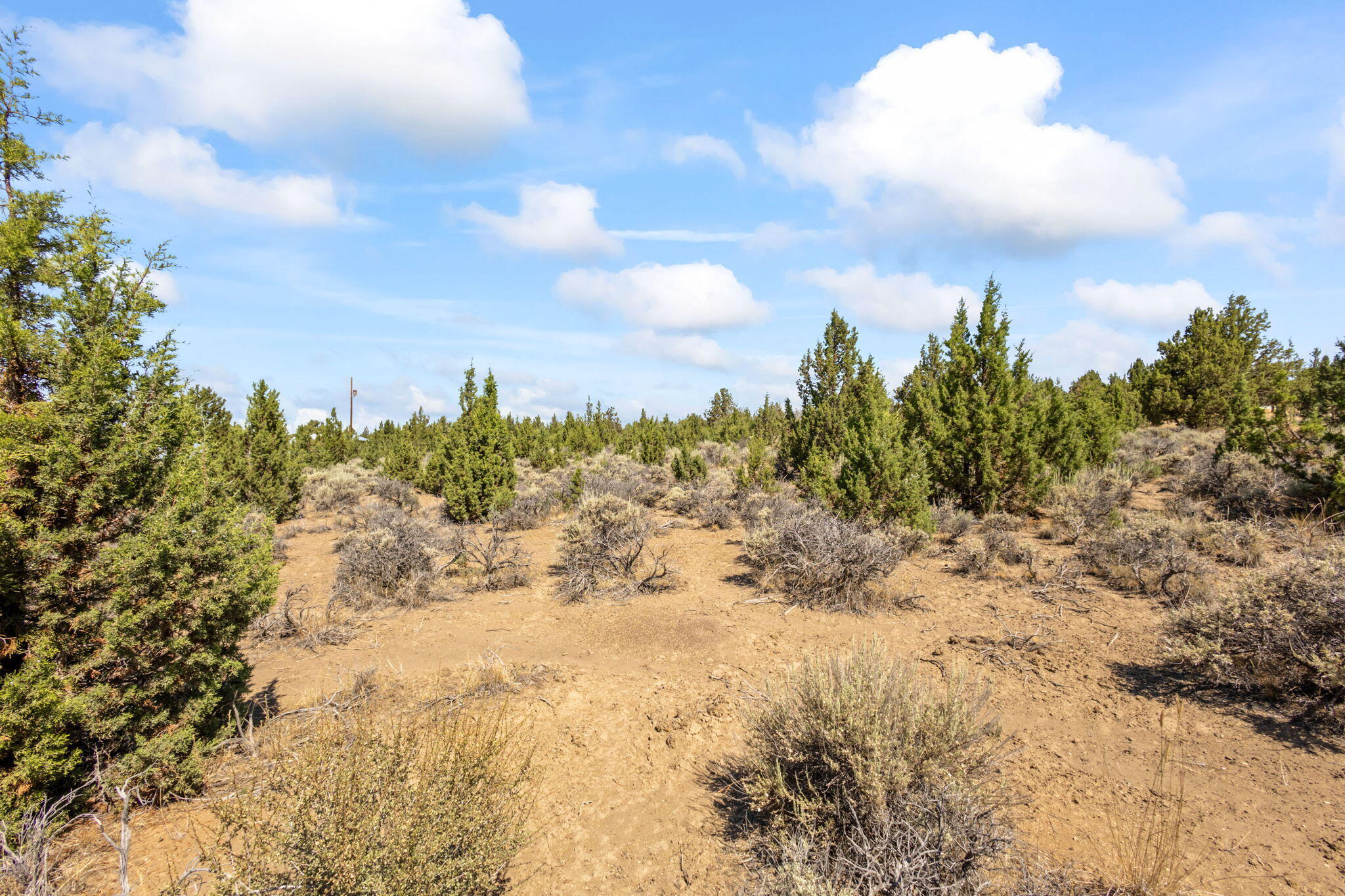 Prineville Lake Acres 2 - Land